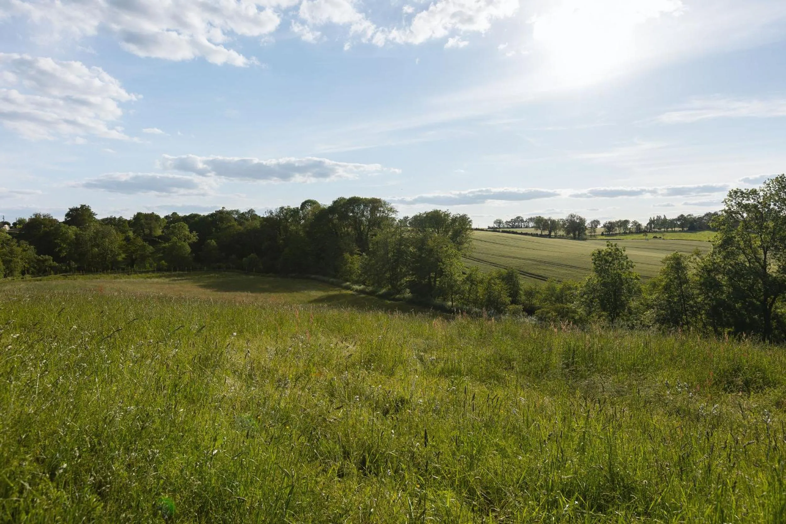 Property building in Château de la Richerie - proche Puy du Fou