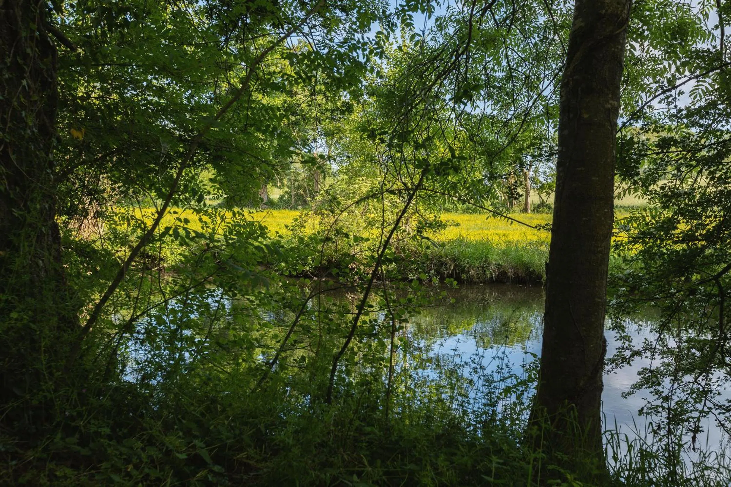 View (from property/room) in Château de la Richerie - proche Puy du Fou