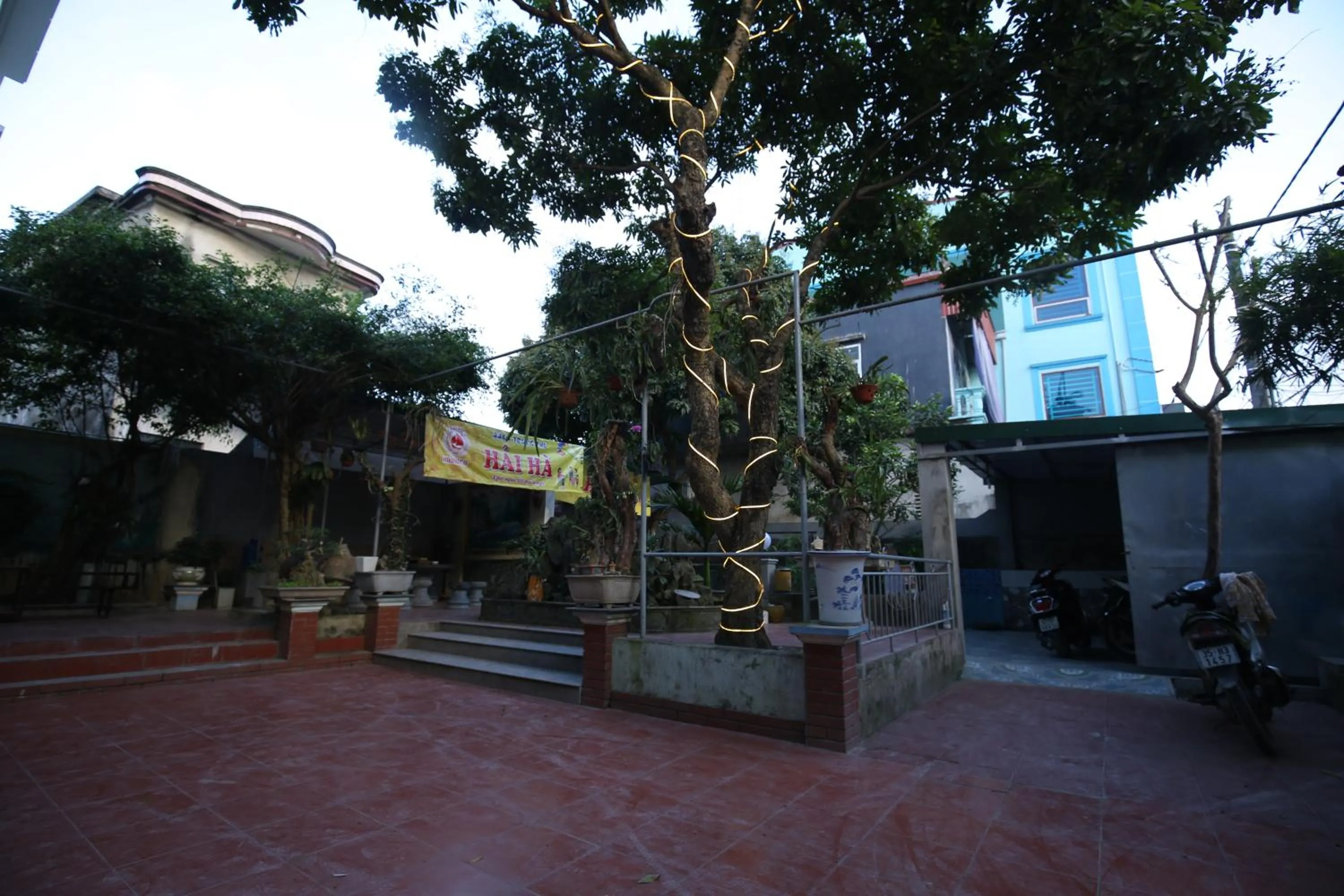 Garden in Sen's Homestay