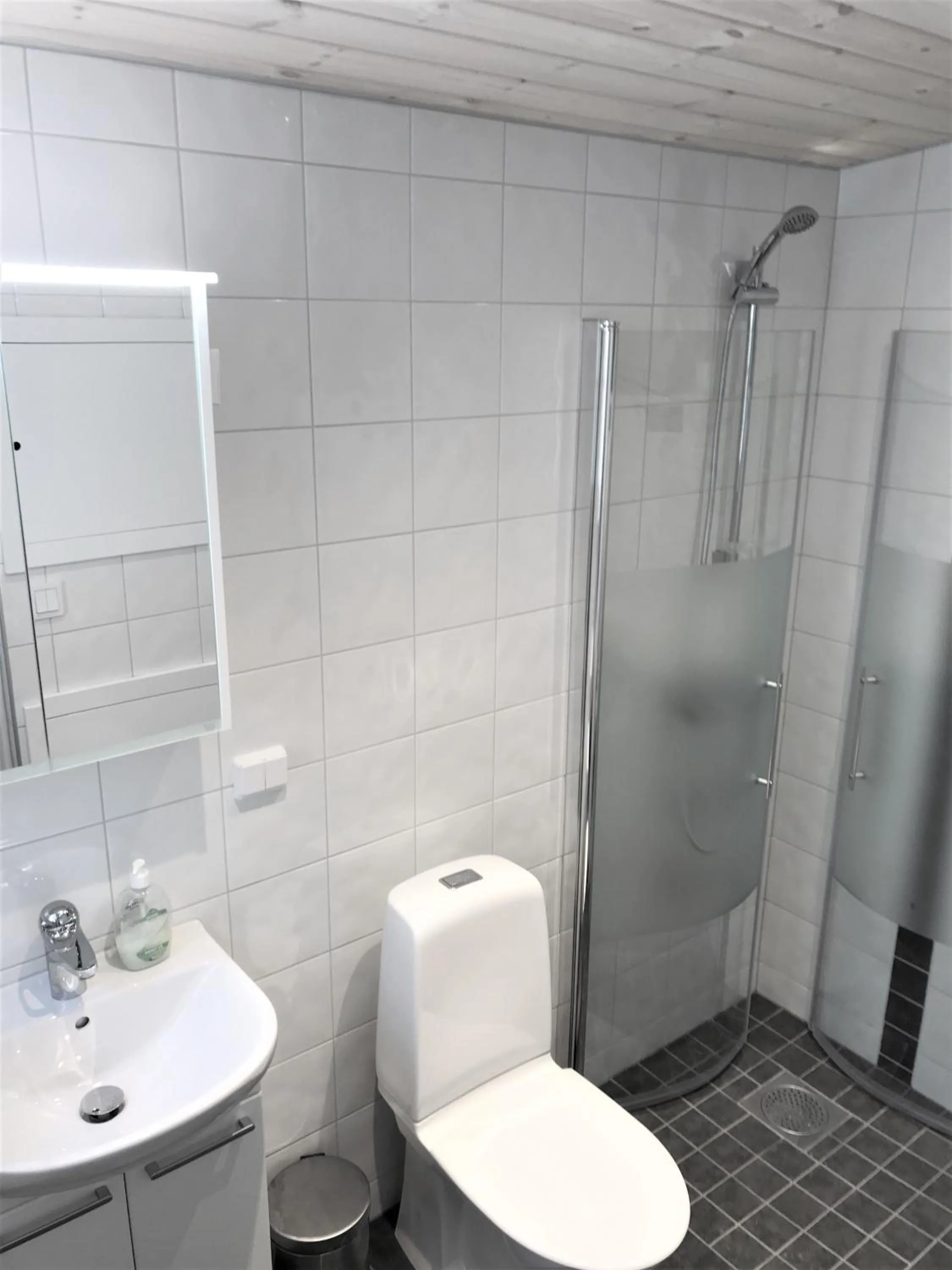 Bathroom in Fogelbergs TuB