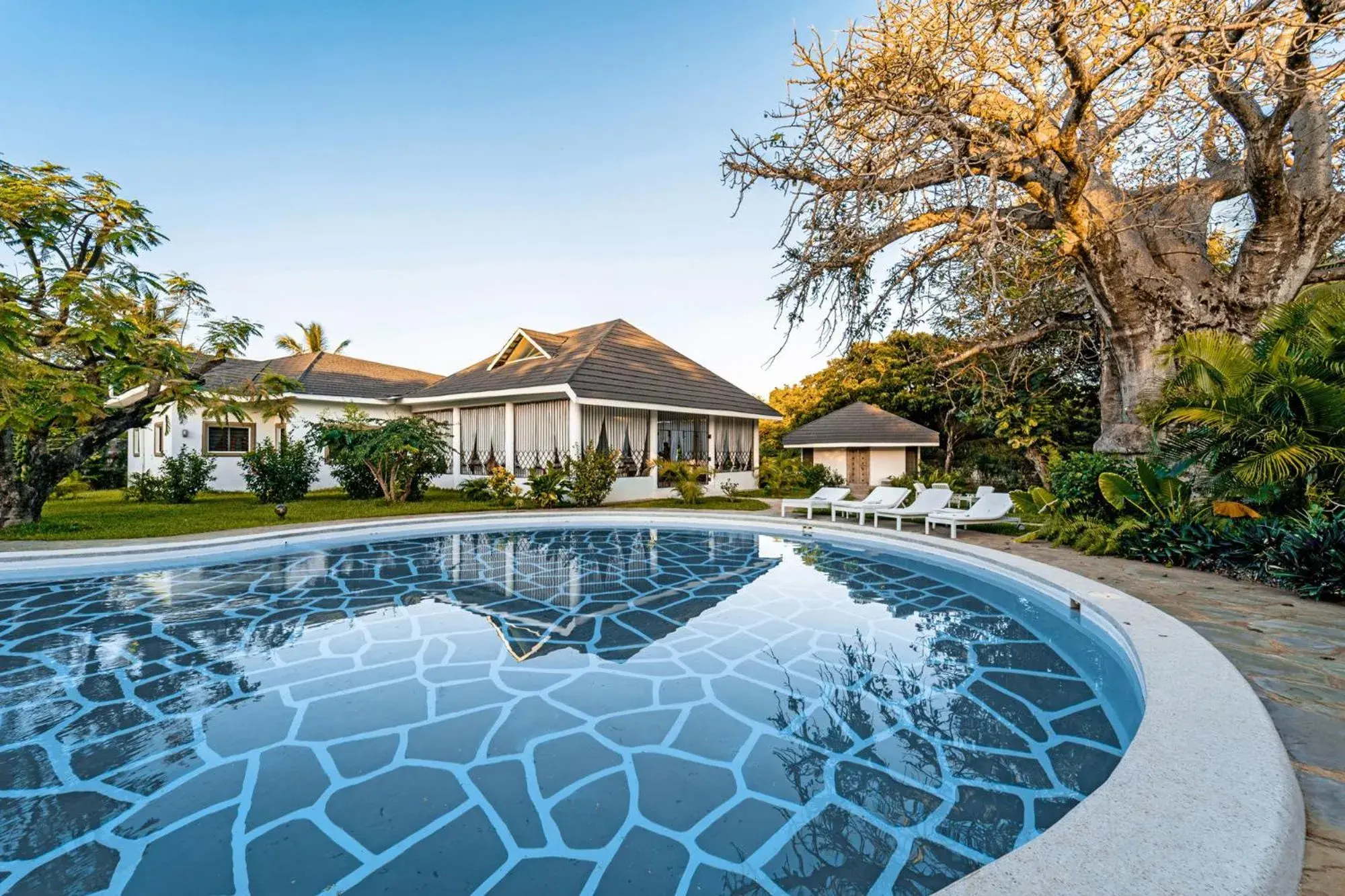 Nyumba Ya Mbuyu Nyumba Ya Mbuyu