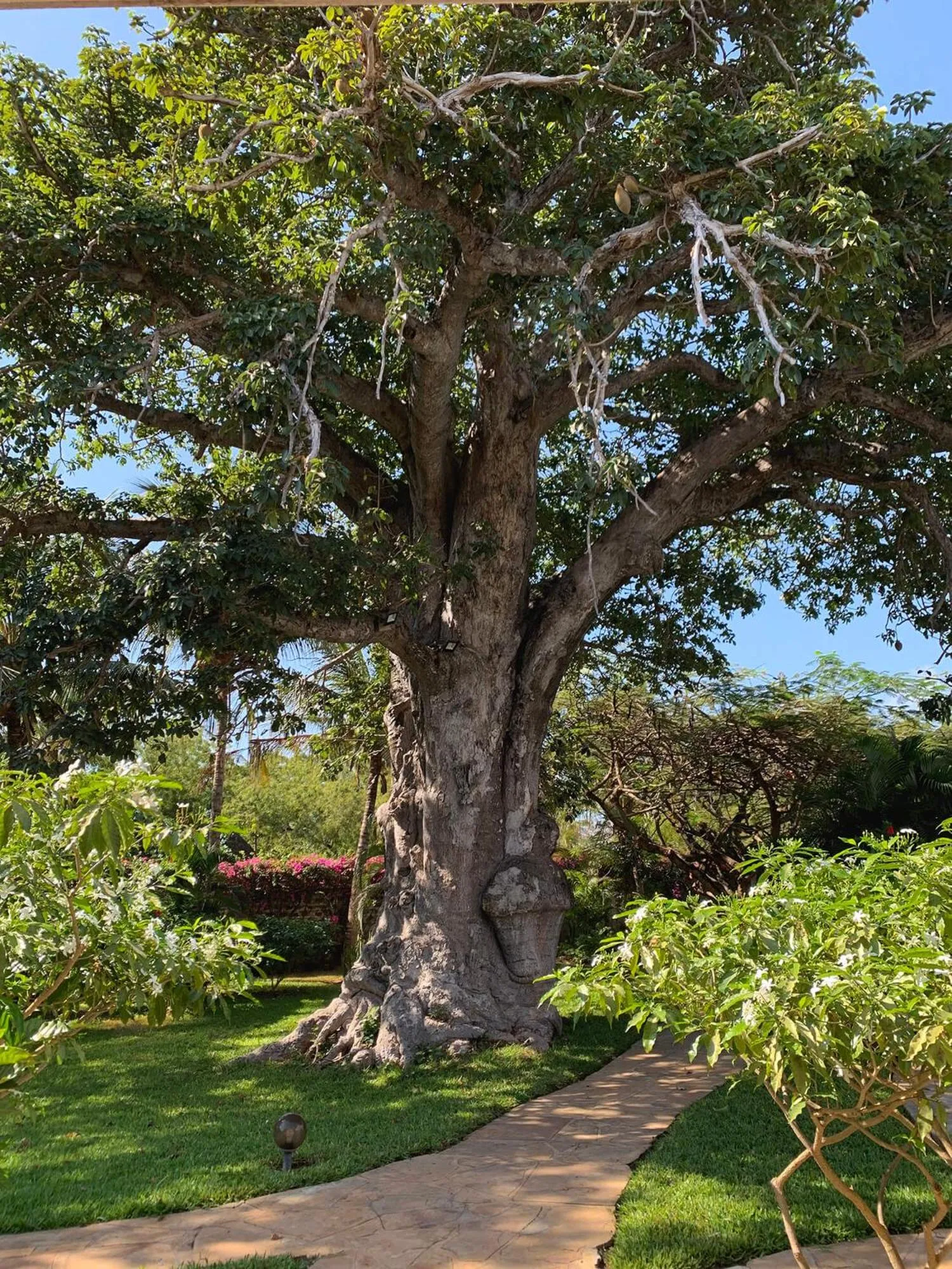 Garden in Nyumba Ya Mbuyu