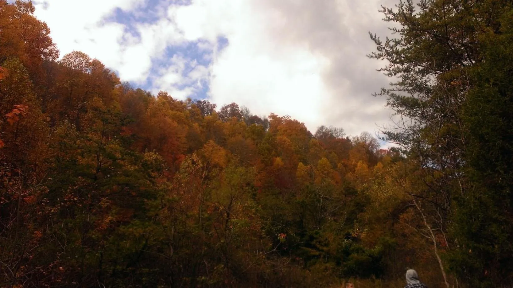 Property building in Pine Mountain Inn