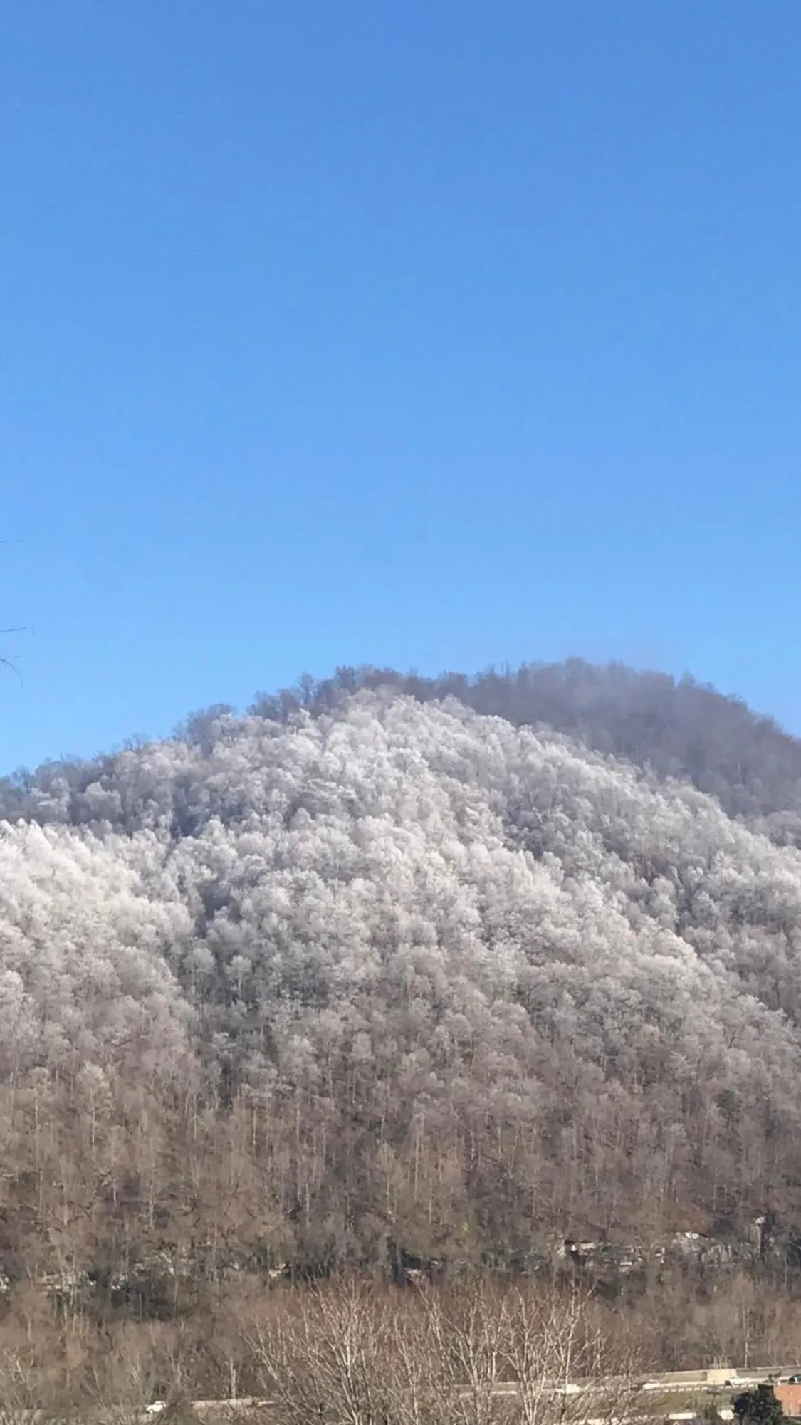 Natural landscape in Pine Mountain Inn