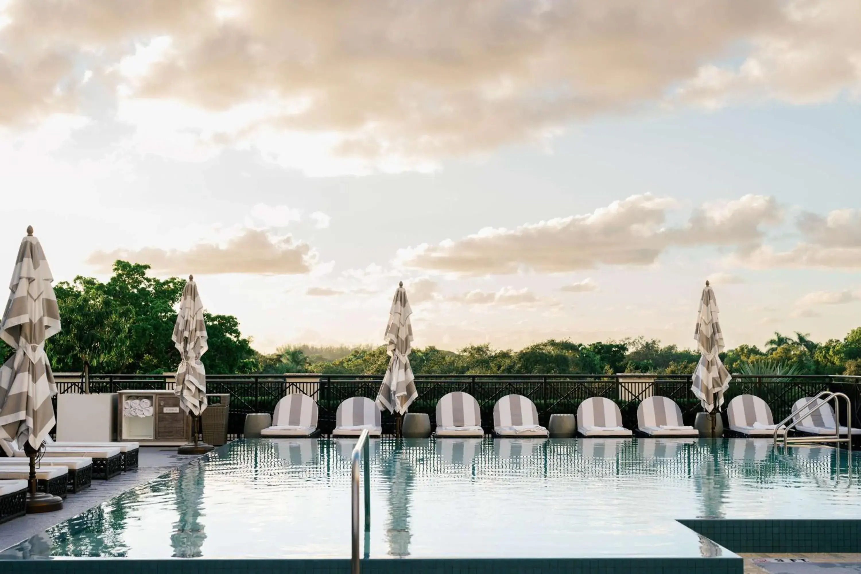 Pool view in THesis Hotel Miami Coral Gables, Curio Collection by Hilton Pool view in THesis Hotel Miami Coral Gables, Curio Collection by Hilton