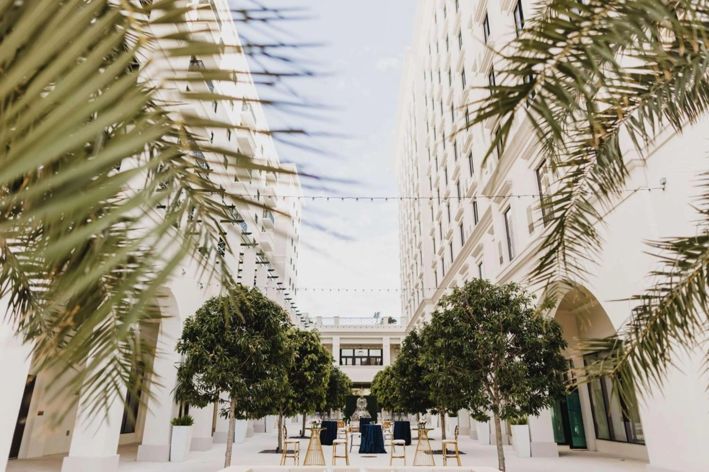 Restaurant/places to eat in THesis Hotel Miami Coral Gables, Curio Collection by Hilton