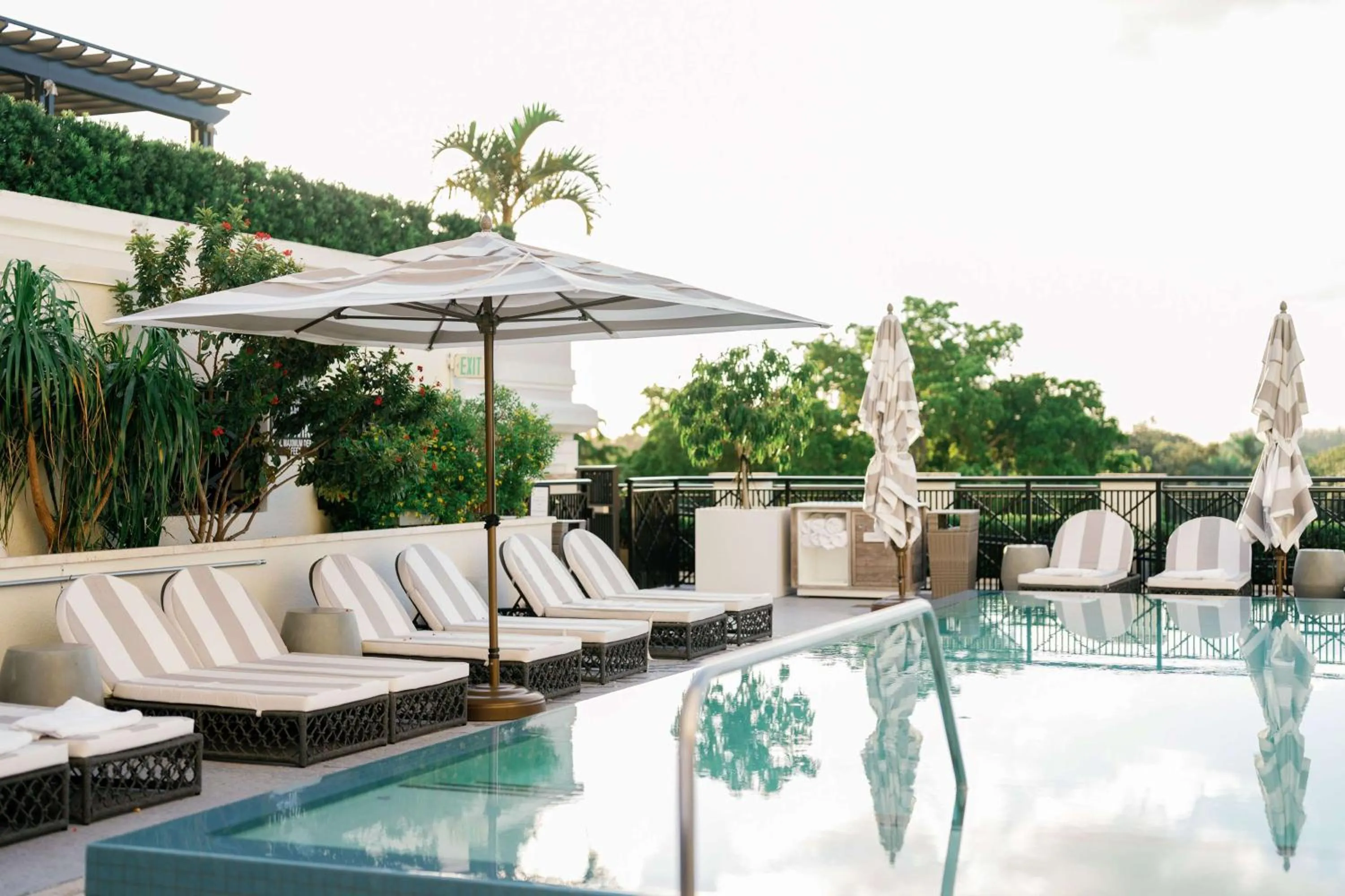 Pool view in THesis Hotel Miami Coral Gables, Curio Collection by Hilton