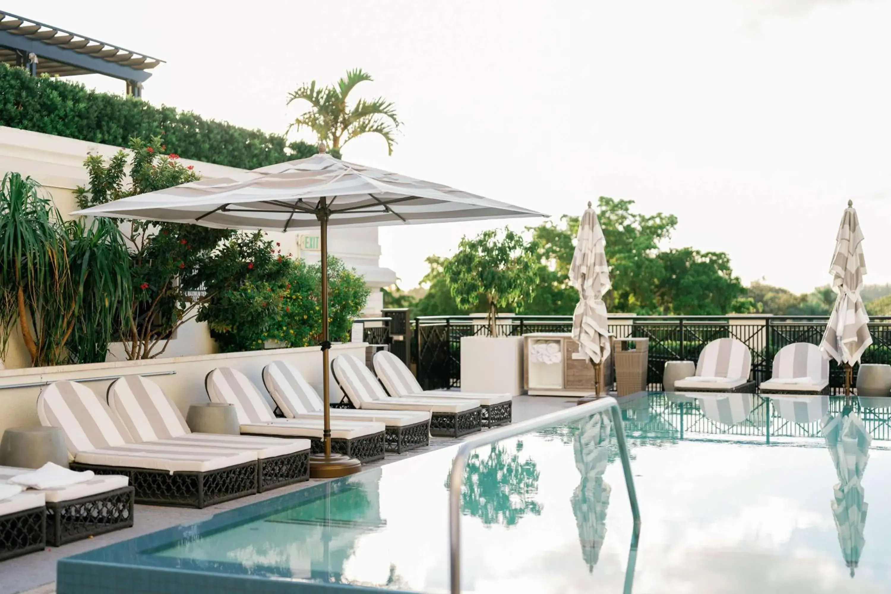 Pool view in THesis Hotel Miami Coral Gables, Curio Collection by Hilton Pool view in THesis Hotel Miami Coral Gables, Curio Collection by Hilton