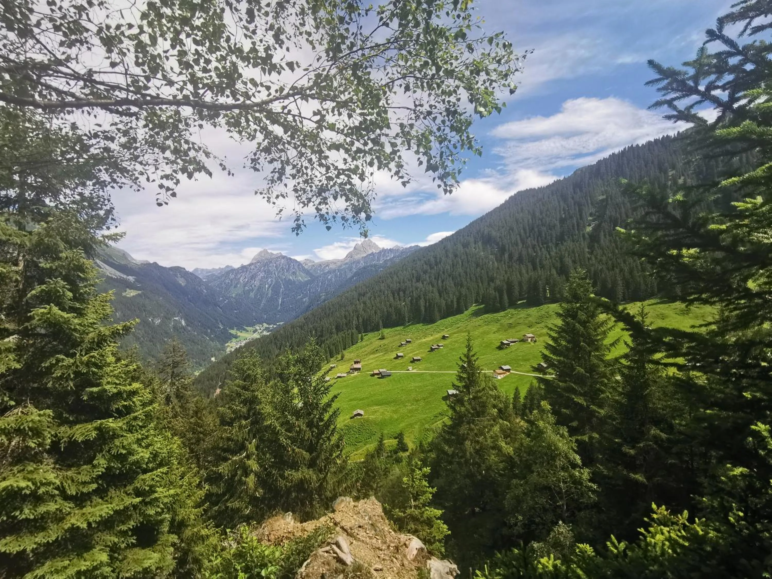 Natural landscape in Partenerhof