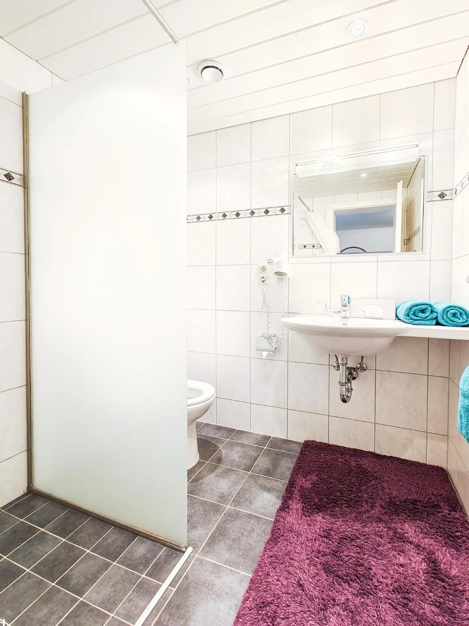 Toilet in Partenerhof