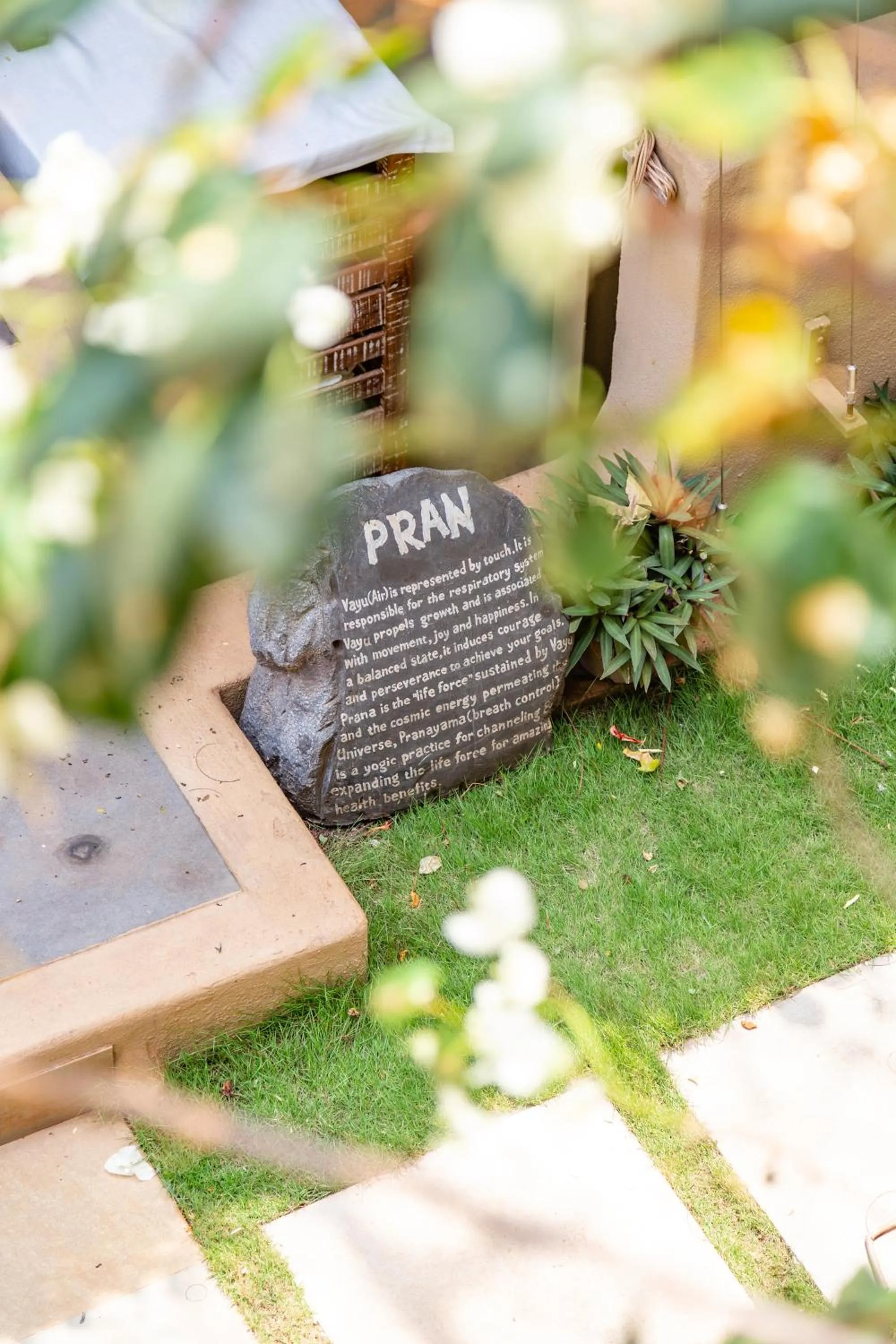 Activities in 3102bce - A Vedic Resort