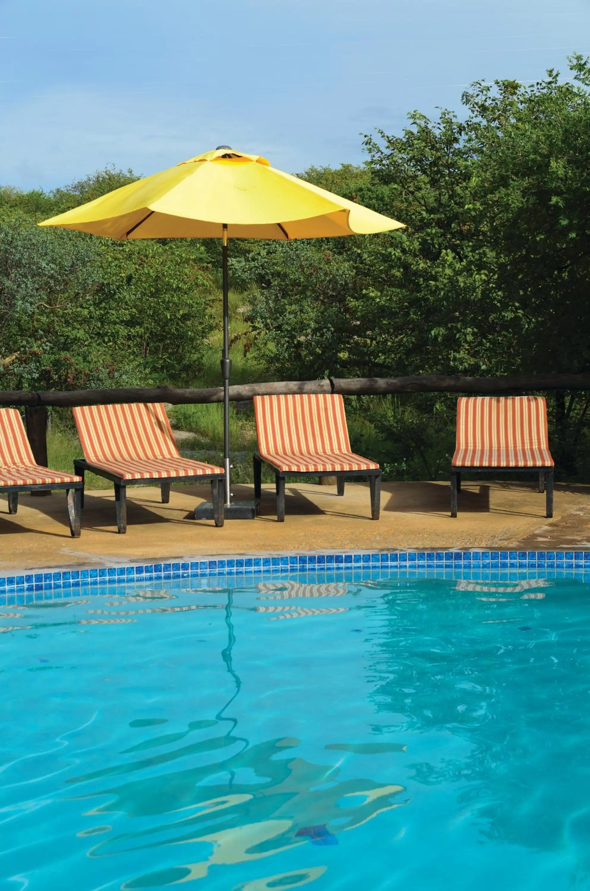 Swimming pool in Etosha Safari Campsite