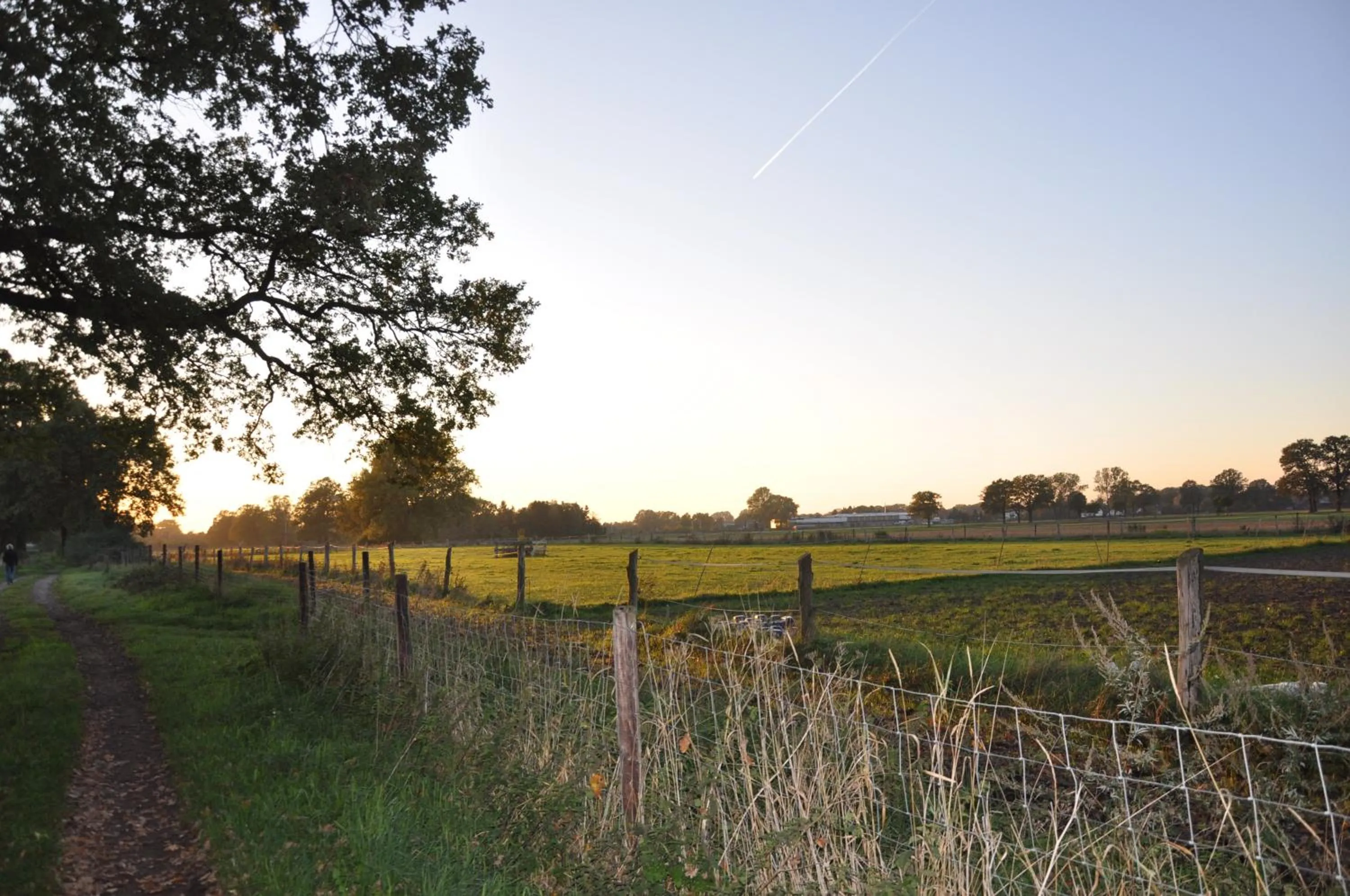 Natural landscape in Jägerhof