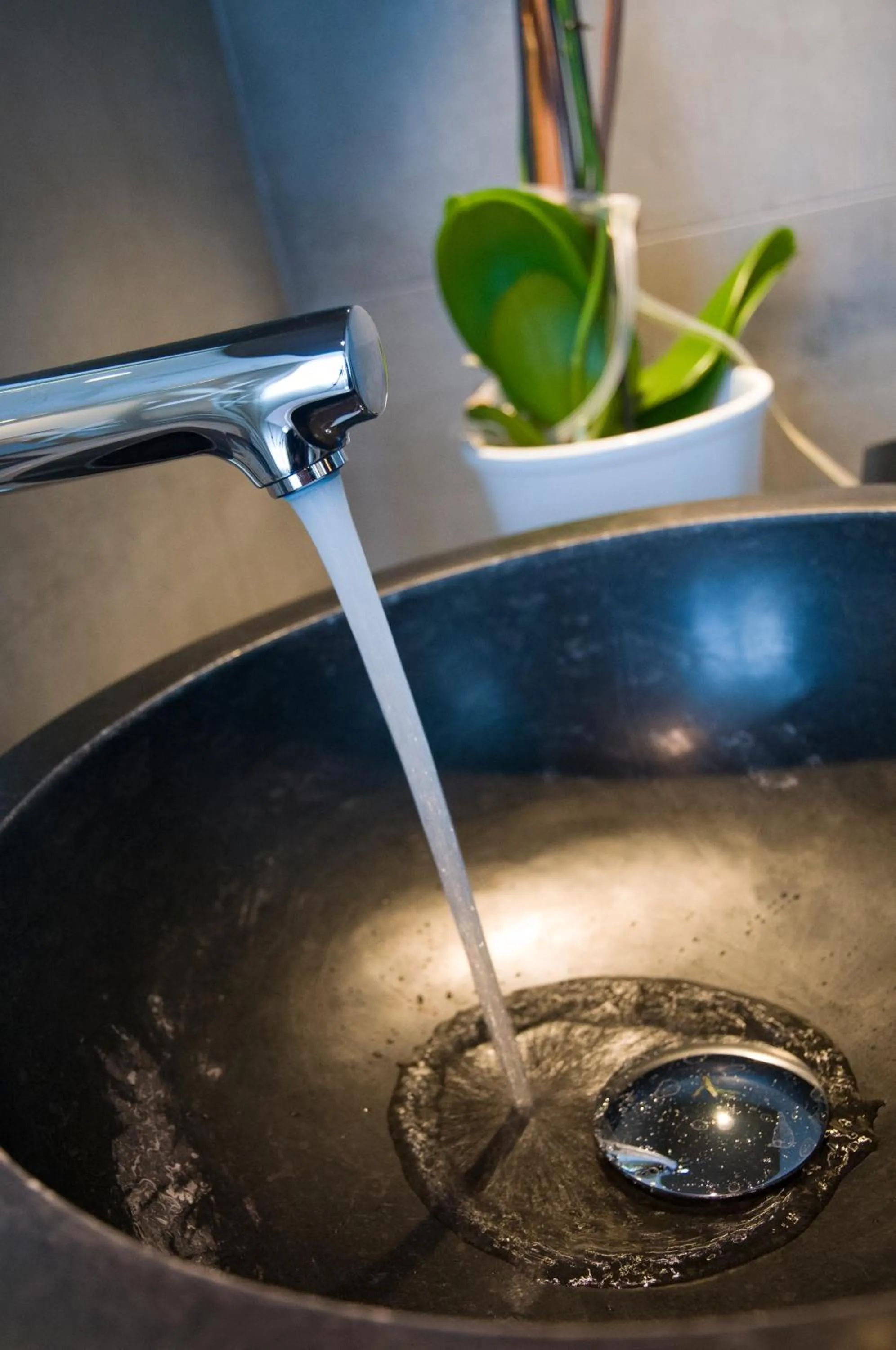 Gasthof Goldener Fisch