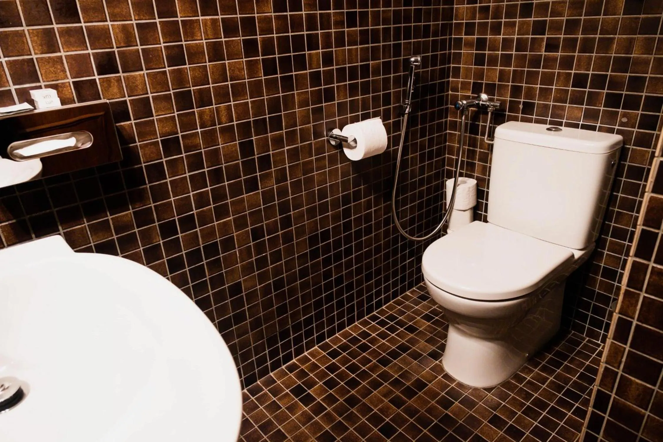 Bathroom in Pension Baranek - Baranek Resorts