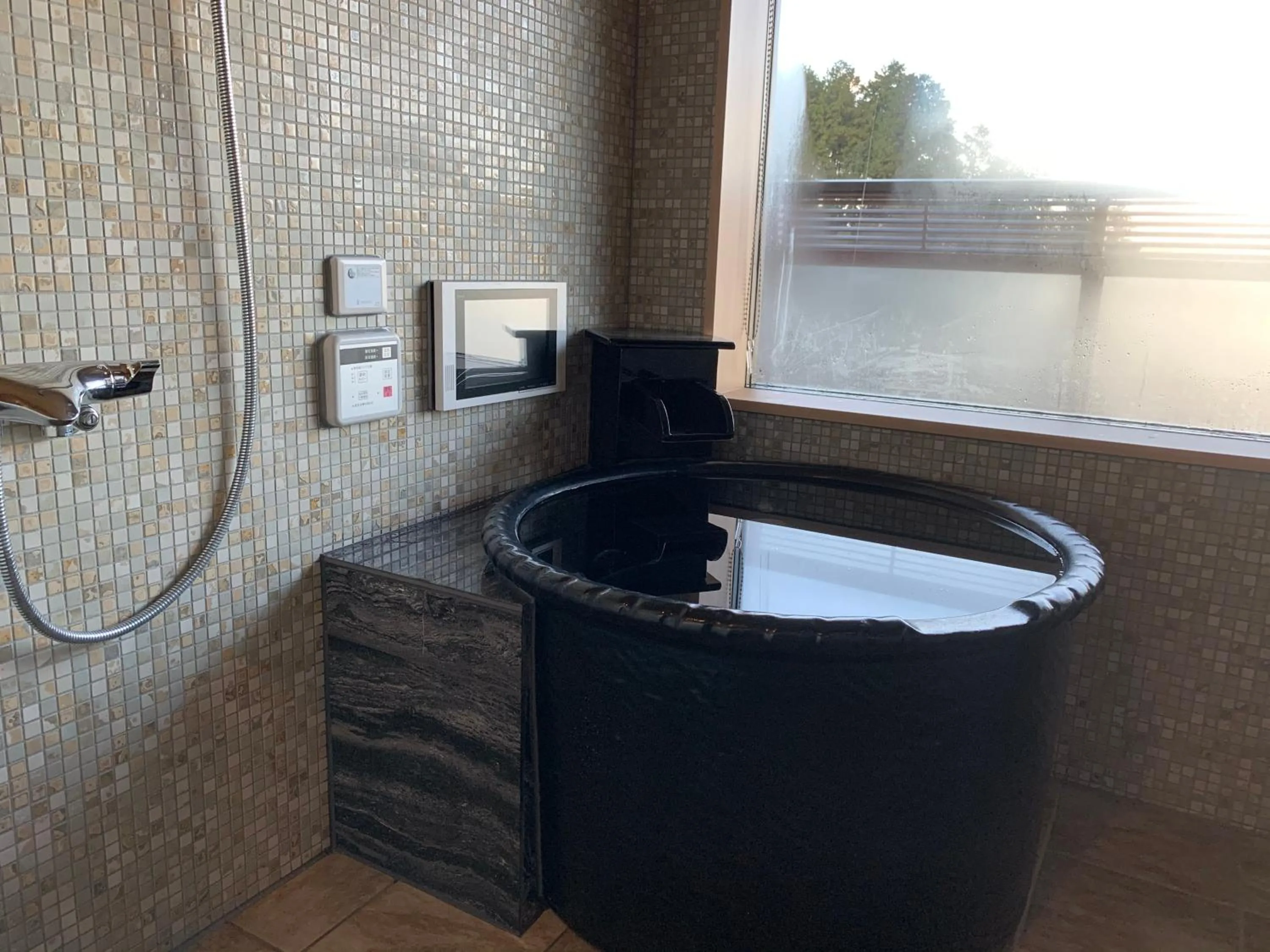 Bath in Ikeda Onsen Ryokan Tachikawa