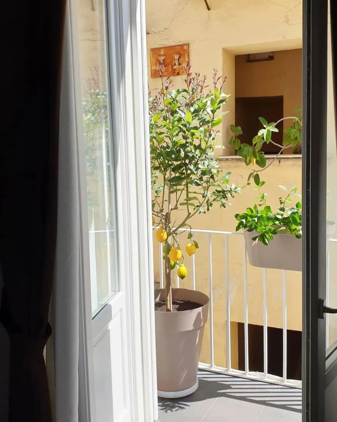 Balcony/Terrace in Santa Chiara Inn