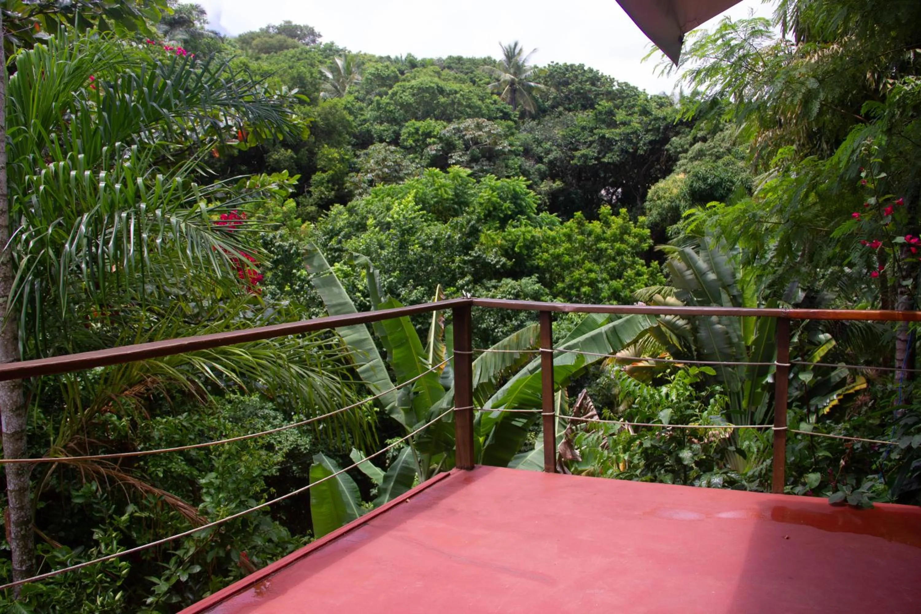 Balcony/Terrace in Pousada Aquarela