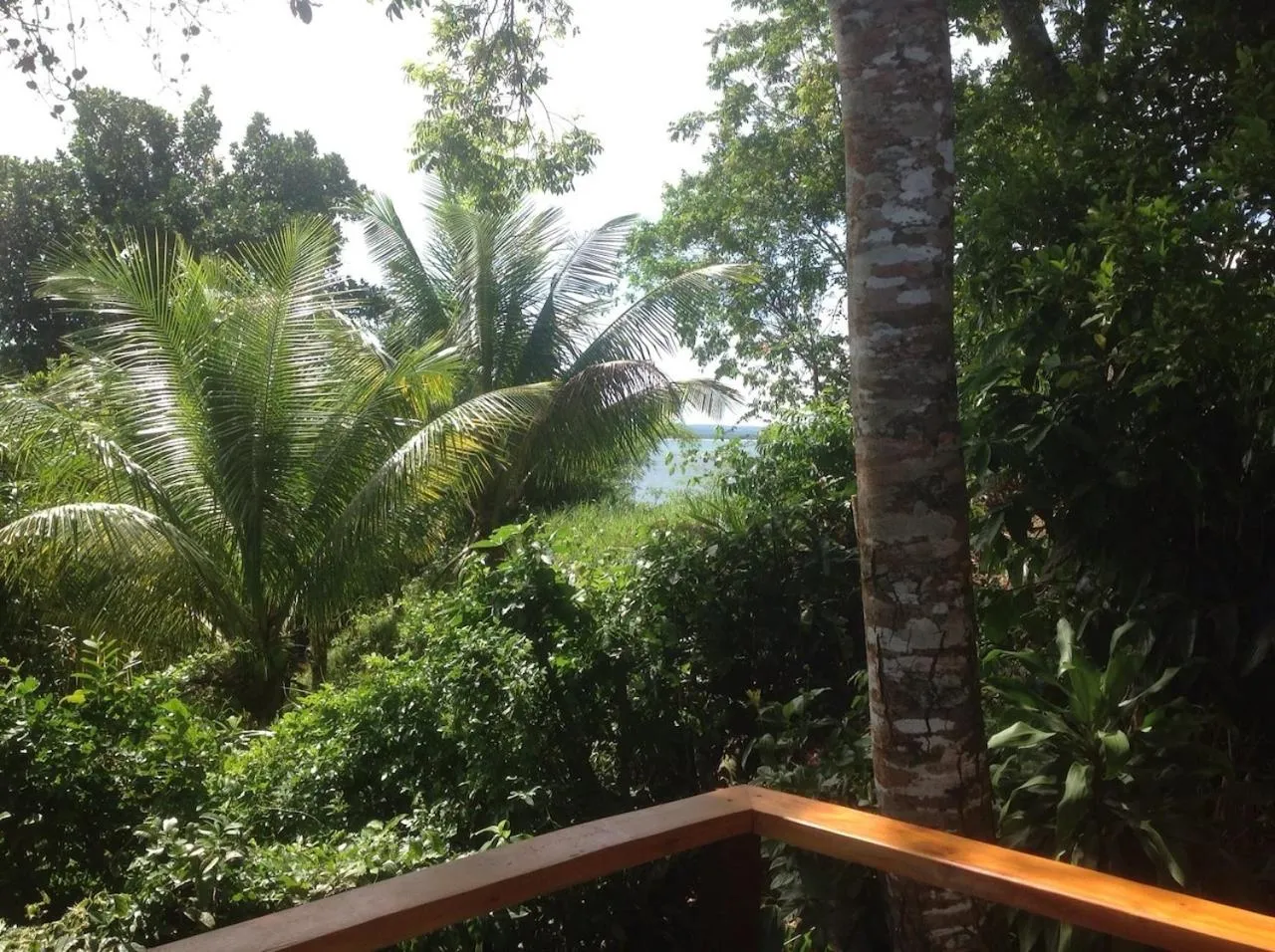 Balcony/Terrace in Pousada Aquarela