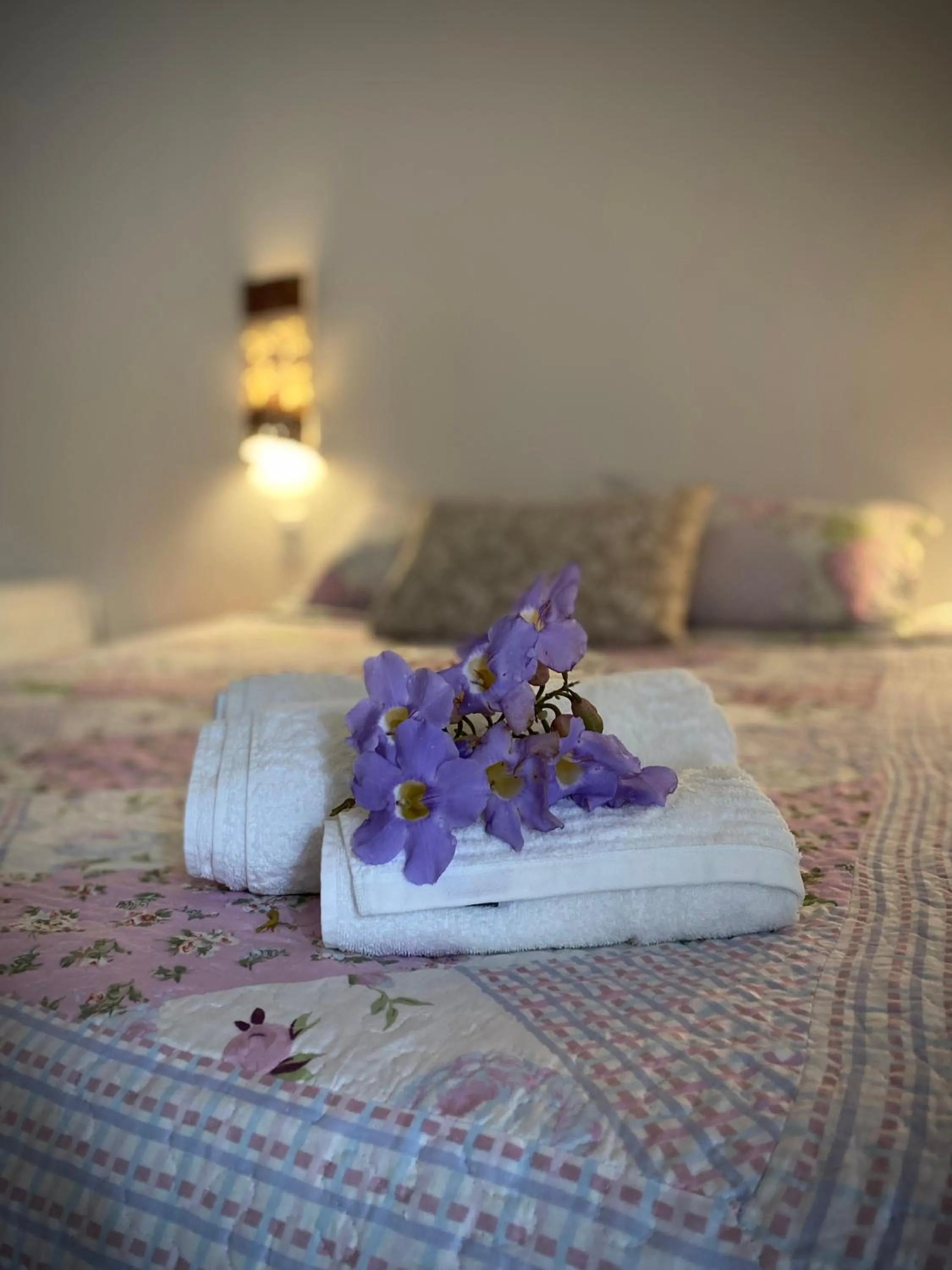 Bed in Pousada Fasani