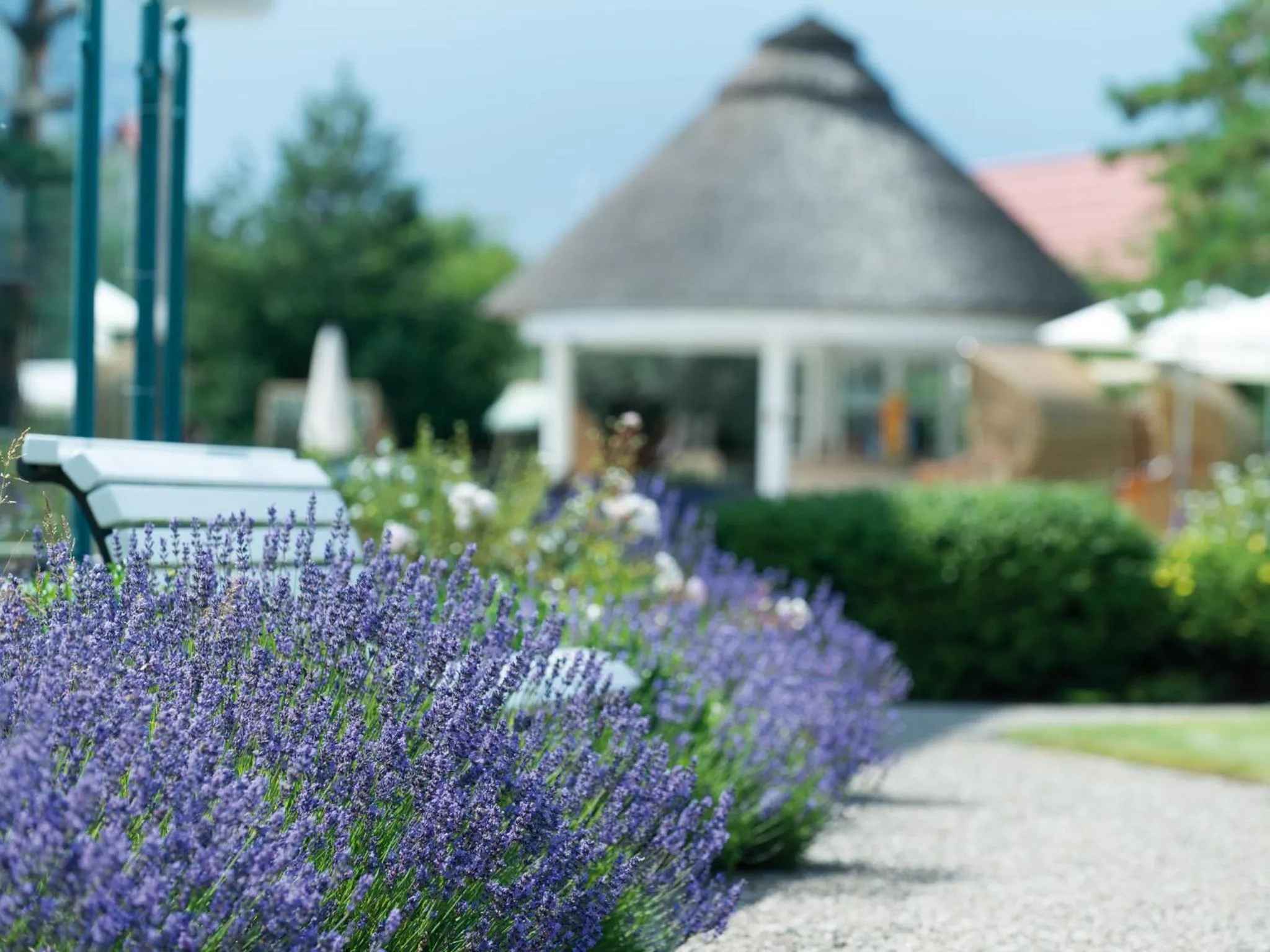 Facade/entrance in A-ROSA Ostseehotel Kühlungsborn