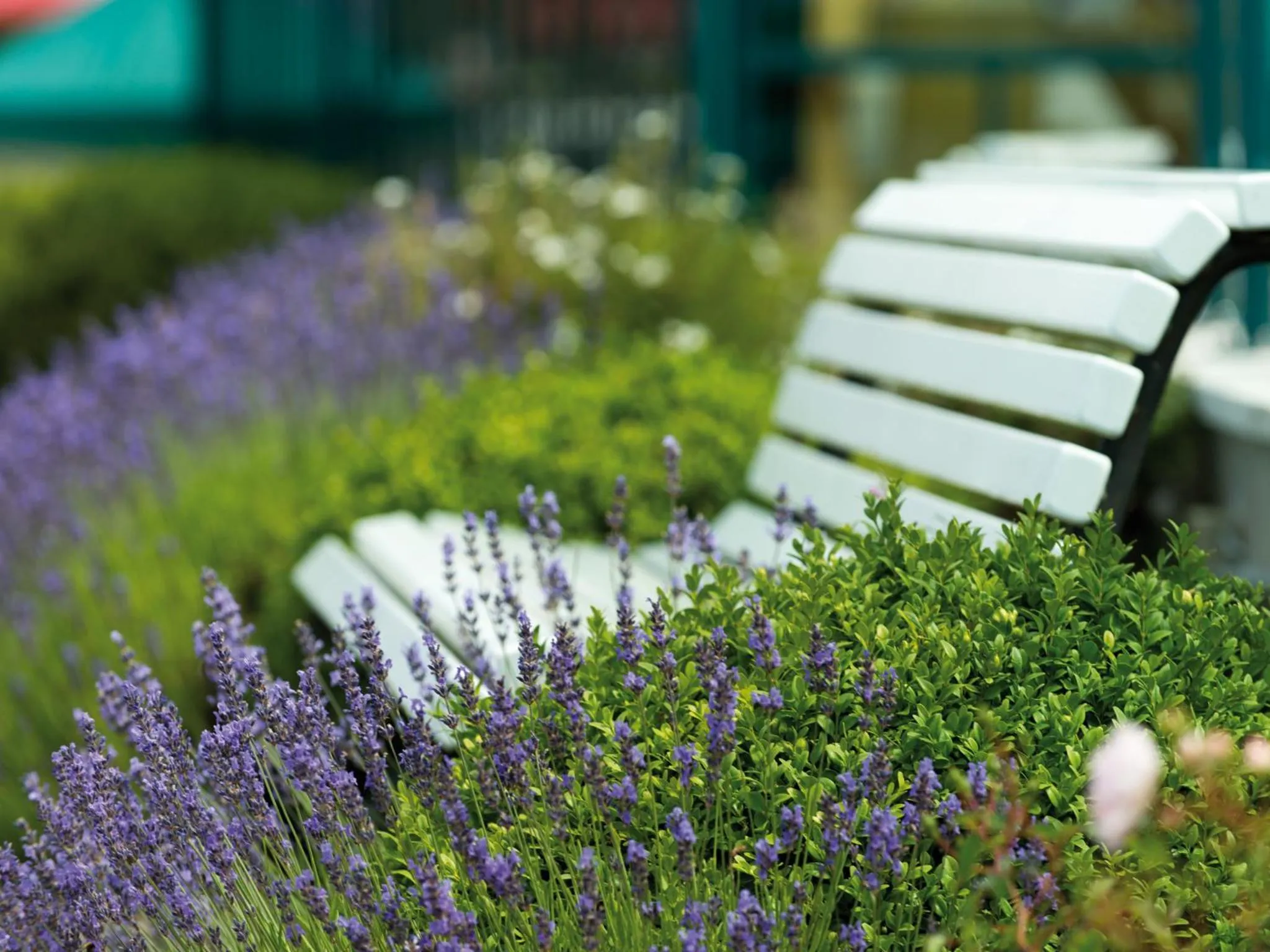 Summer in A-ROSA Ostseehotel Kühlungsborn