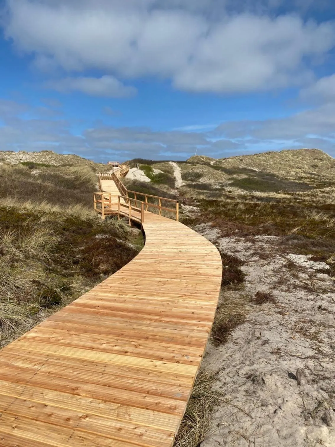 Natural landscape in Hotel Wünschmann