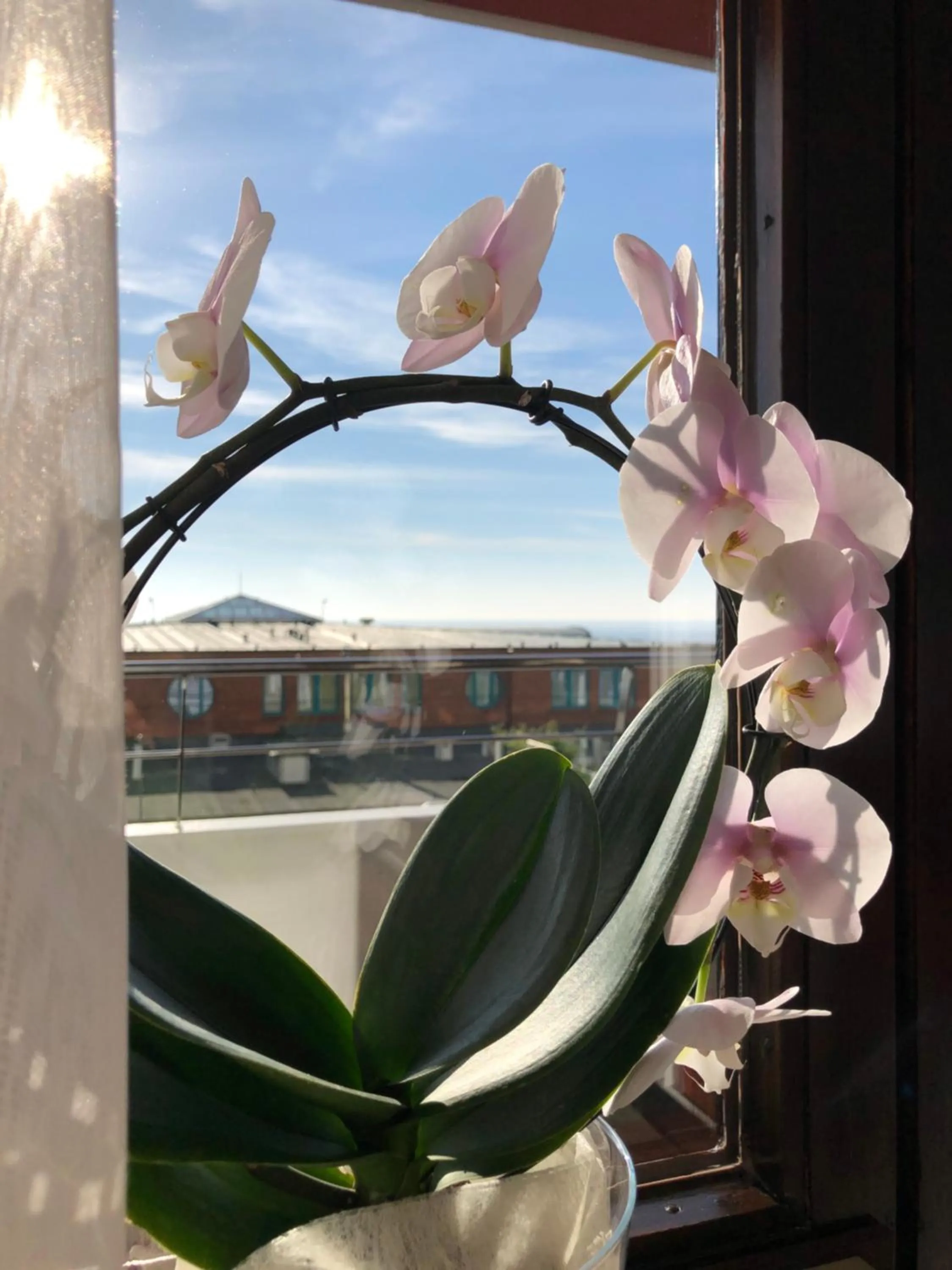 Decorative detail in Hotel Wünschmann