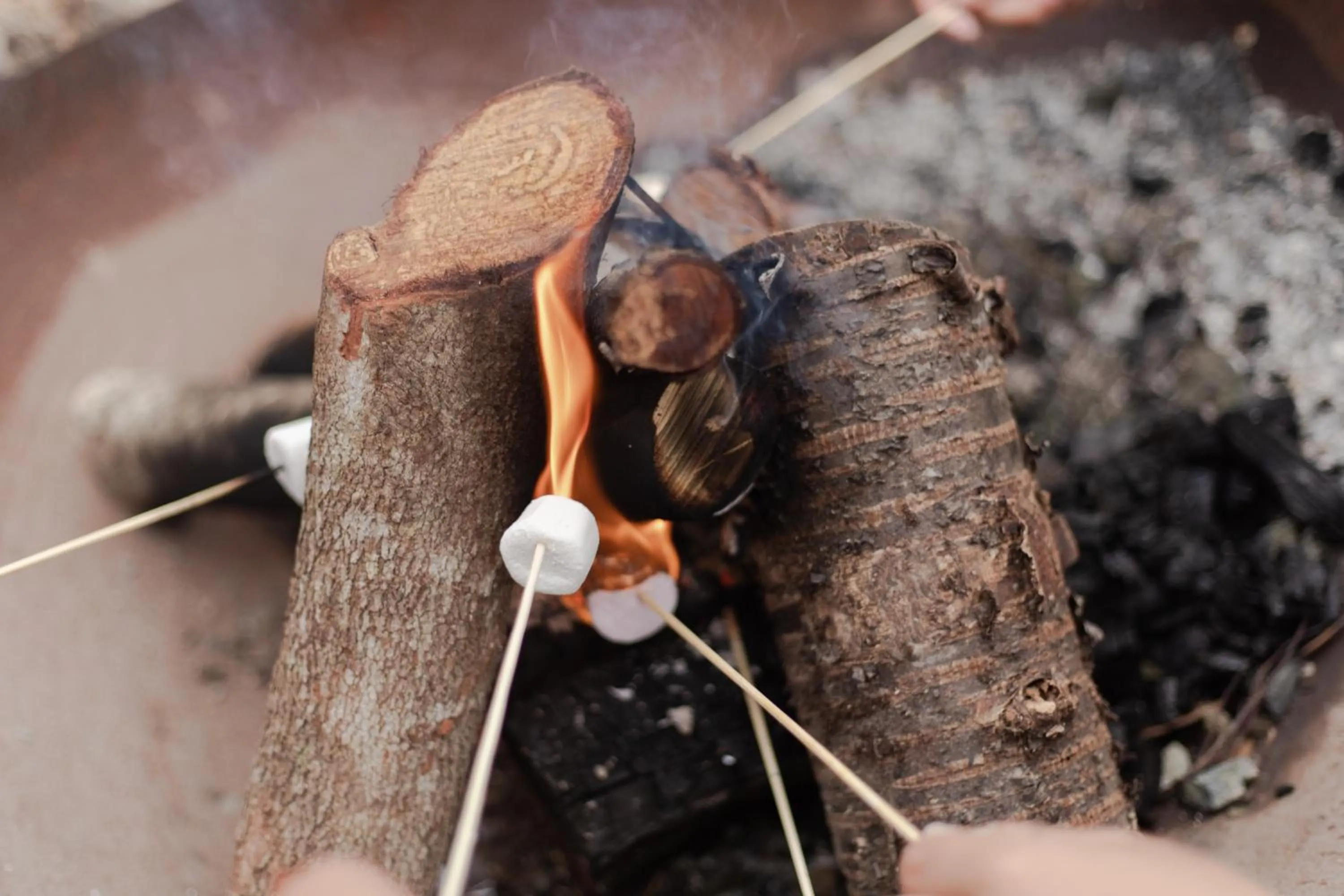 BBQ facilities in Tui & Nikau Cabins