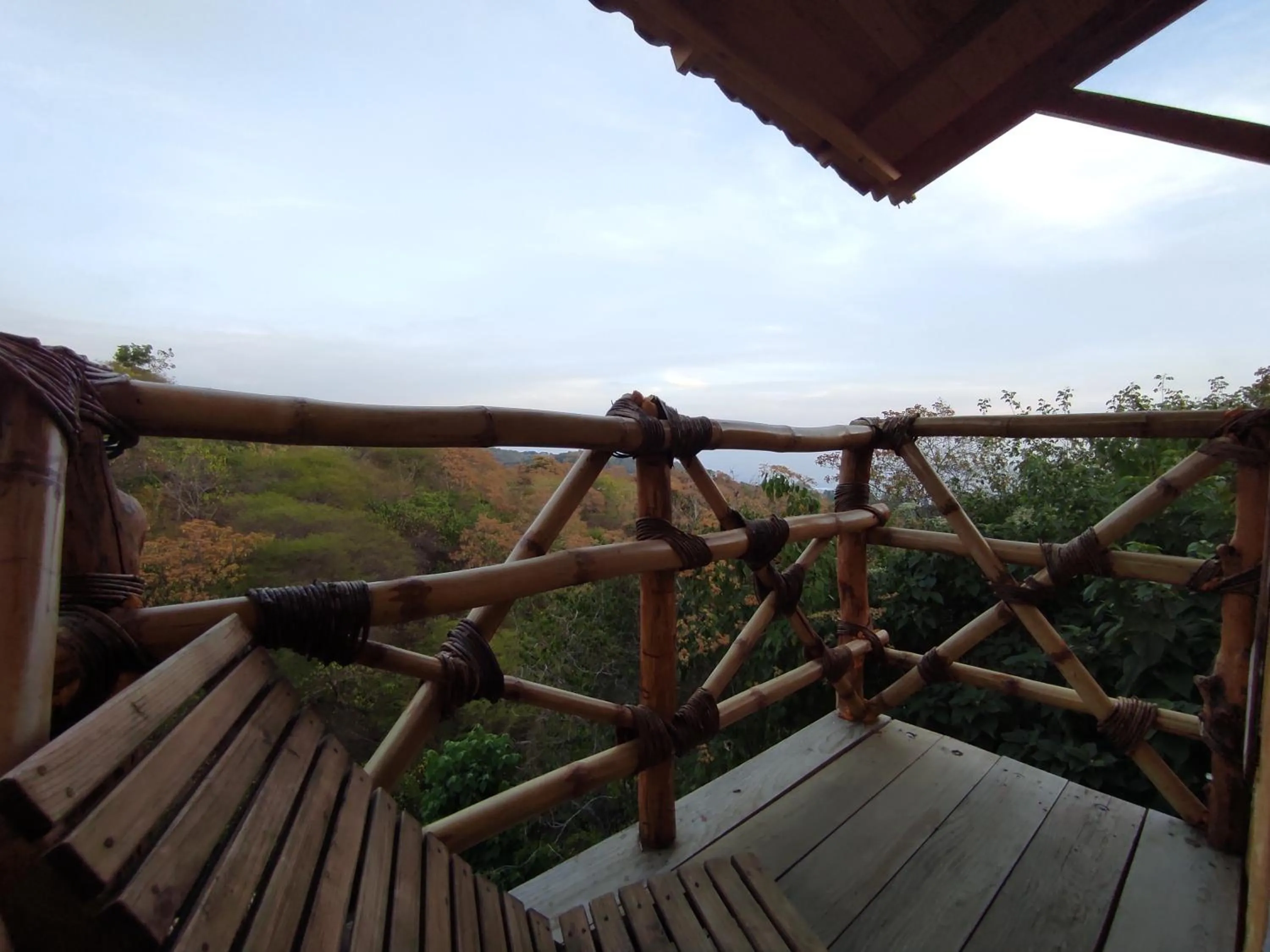 Balcony/Terrace in Hotel Quinto Sol