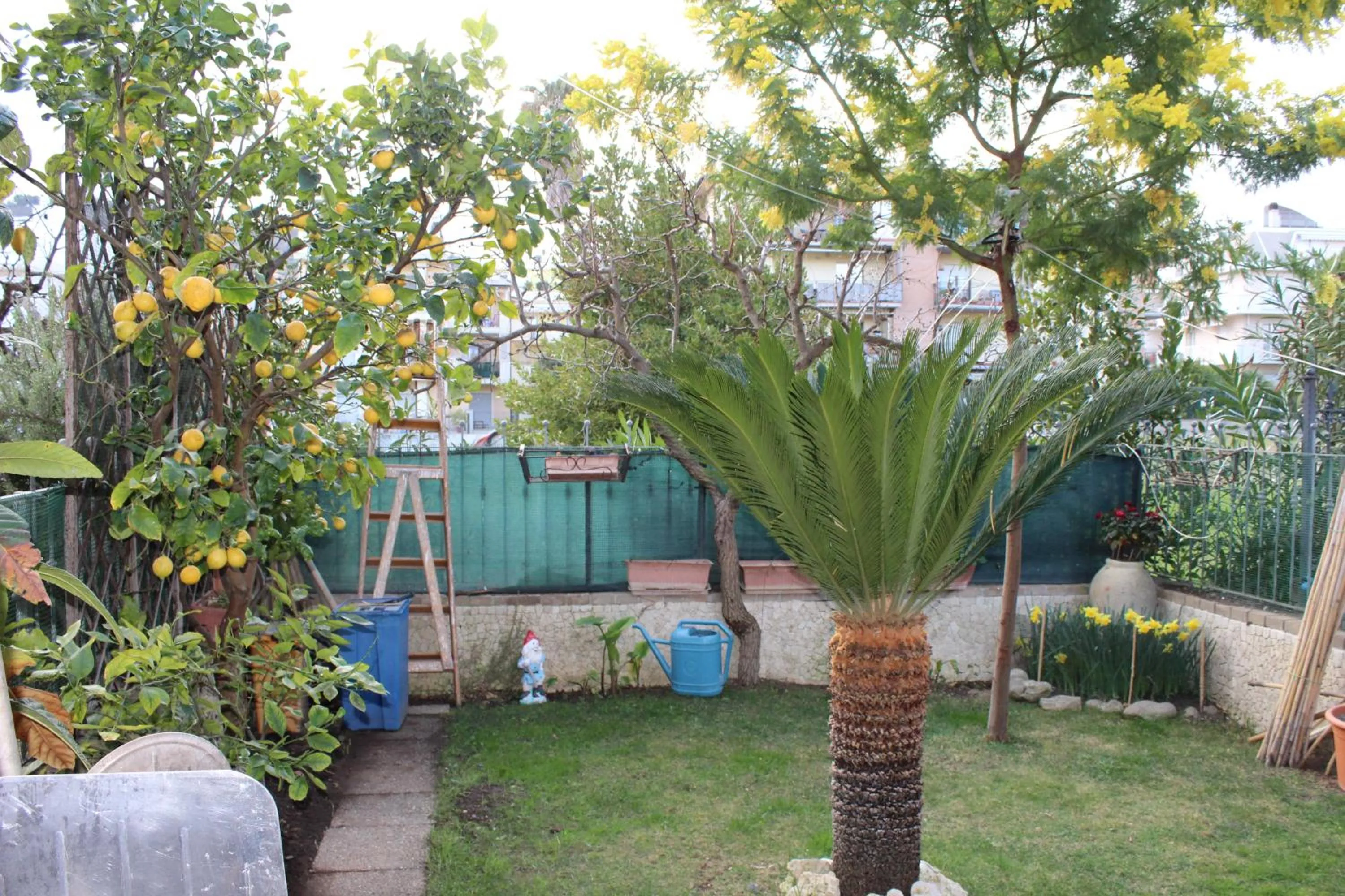 Garden view in B&B Villa Lilla