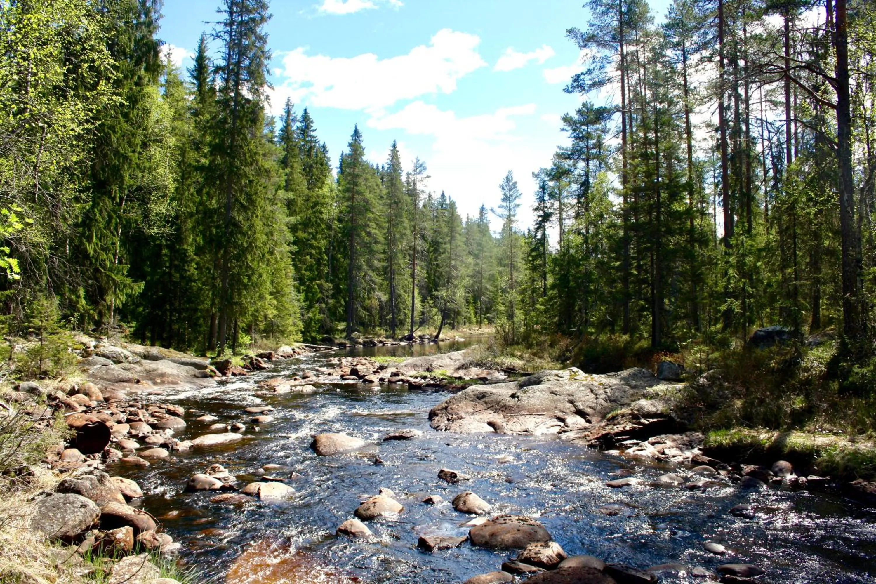 Natural landscape in Sundets Gård - Bed & Breakfast