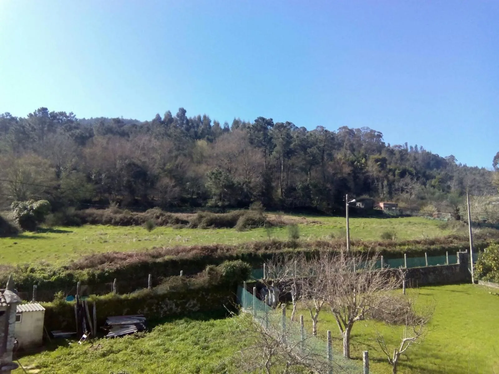 Natural landscape in Pensión Costiña