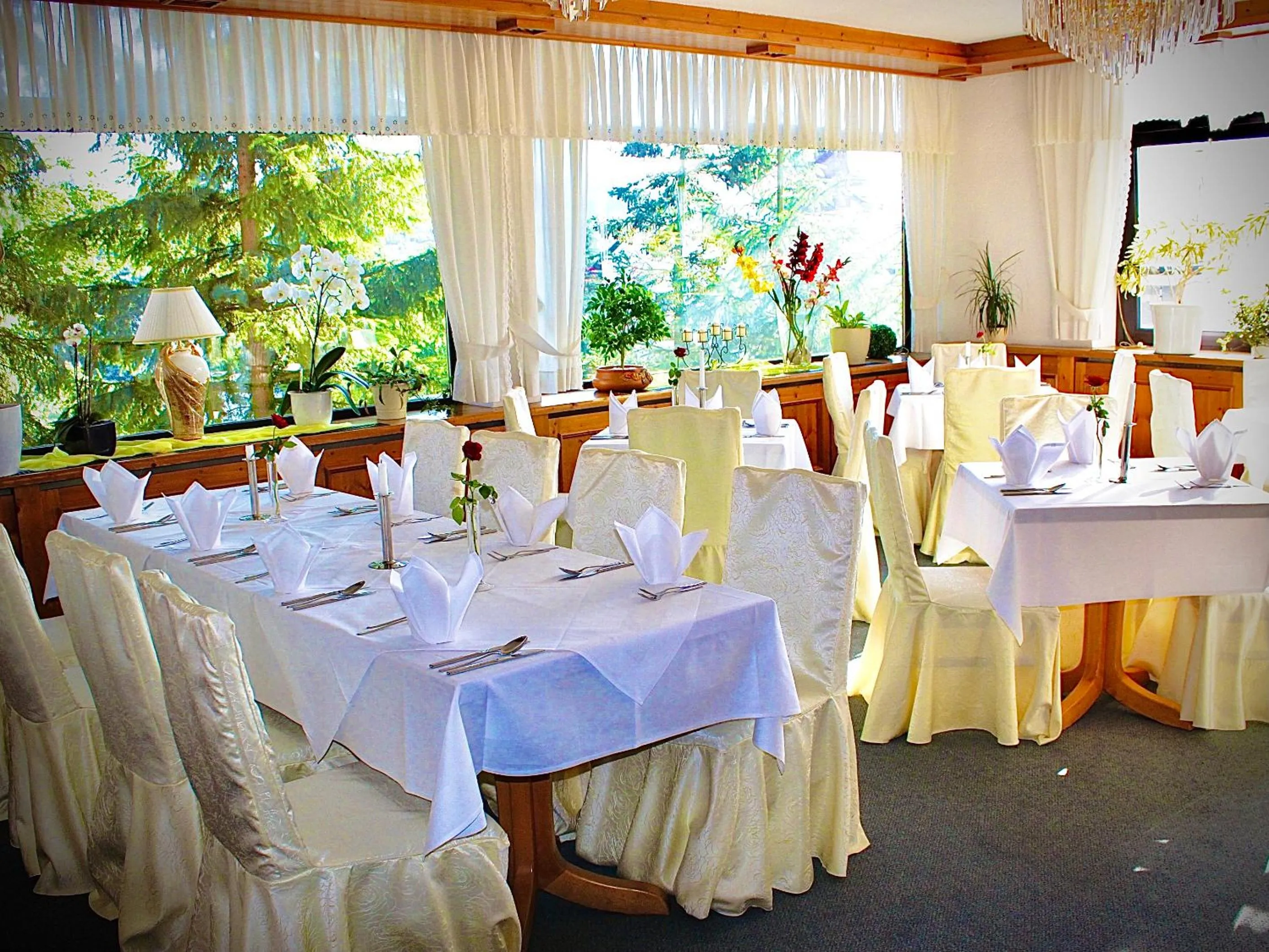 Meister BÄR HOTEL Frankenwald