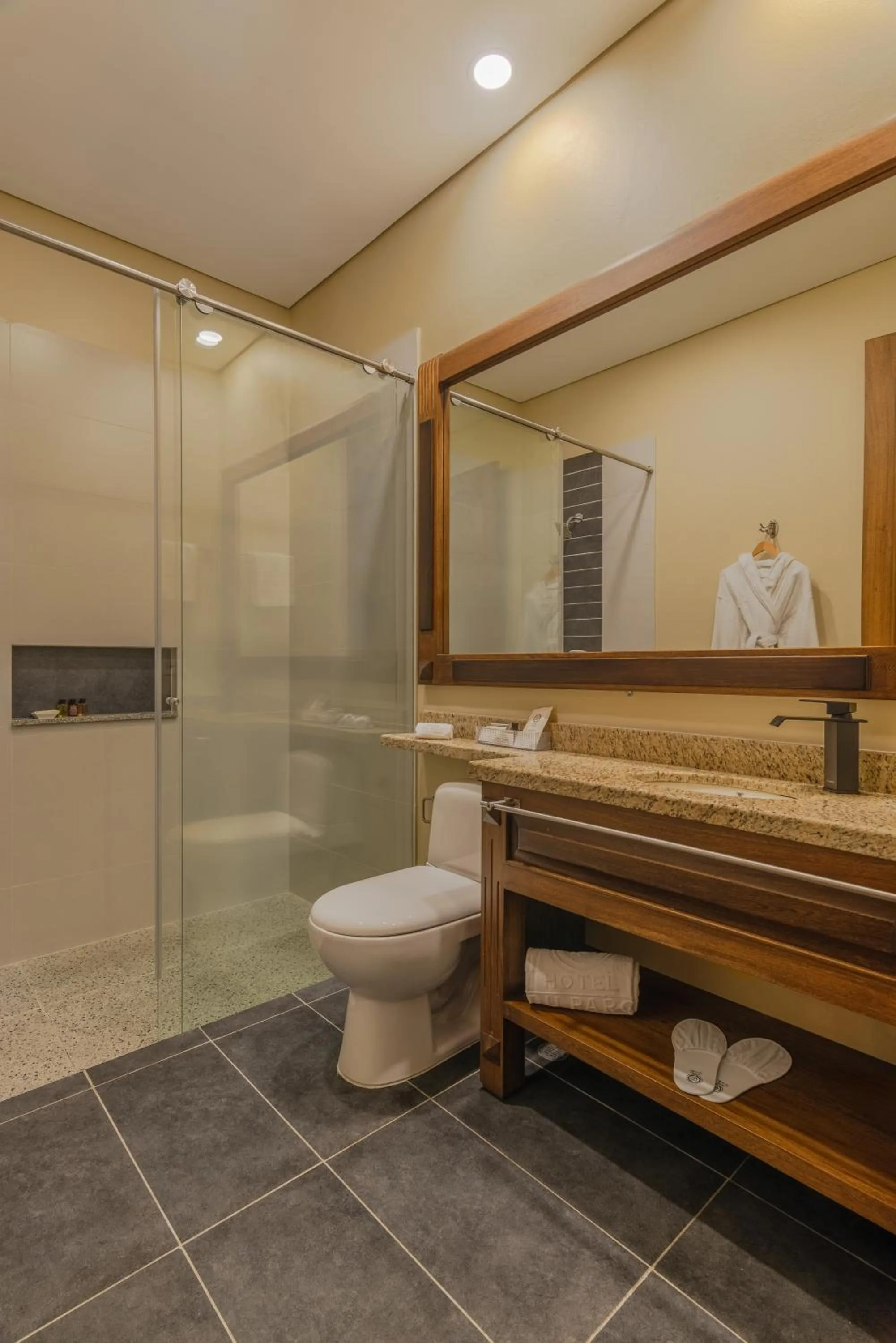 Toilet in Hotel Du Parc