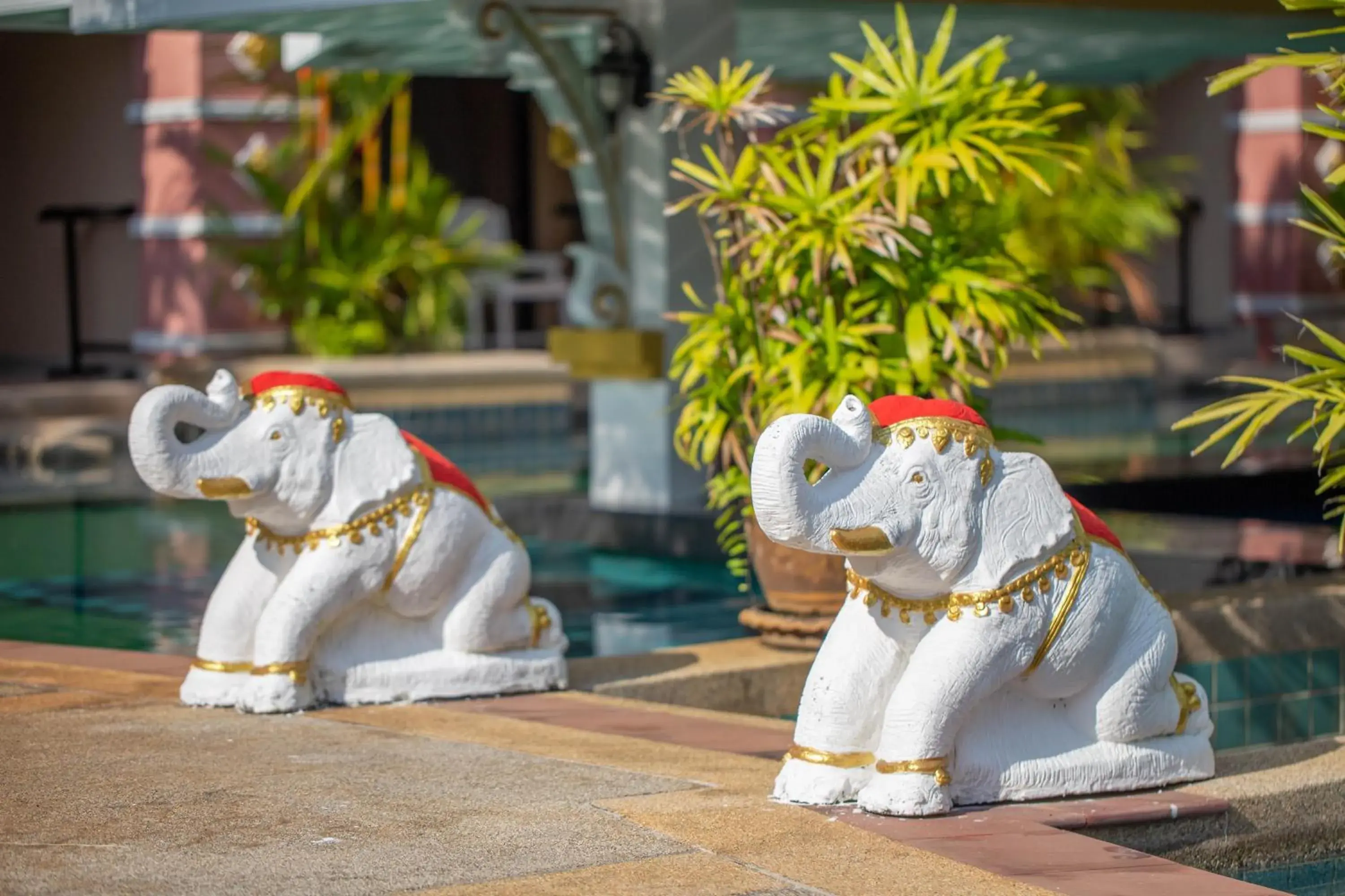 Swimming pool in Krabi Nature Beach Resort Swimming pool in Krabi Nature Beach Resort