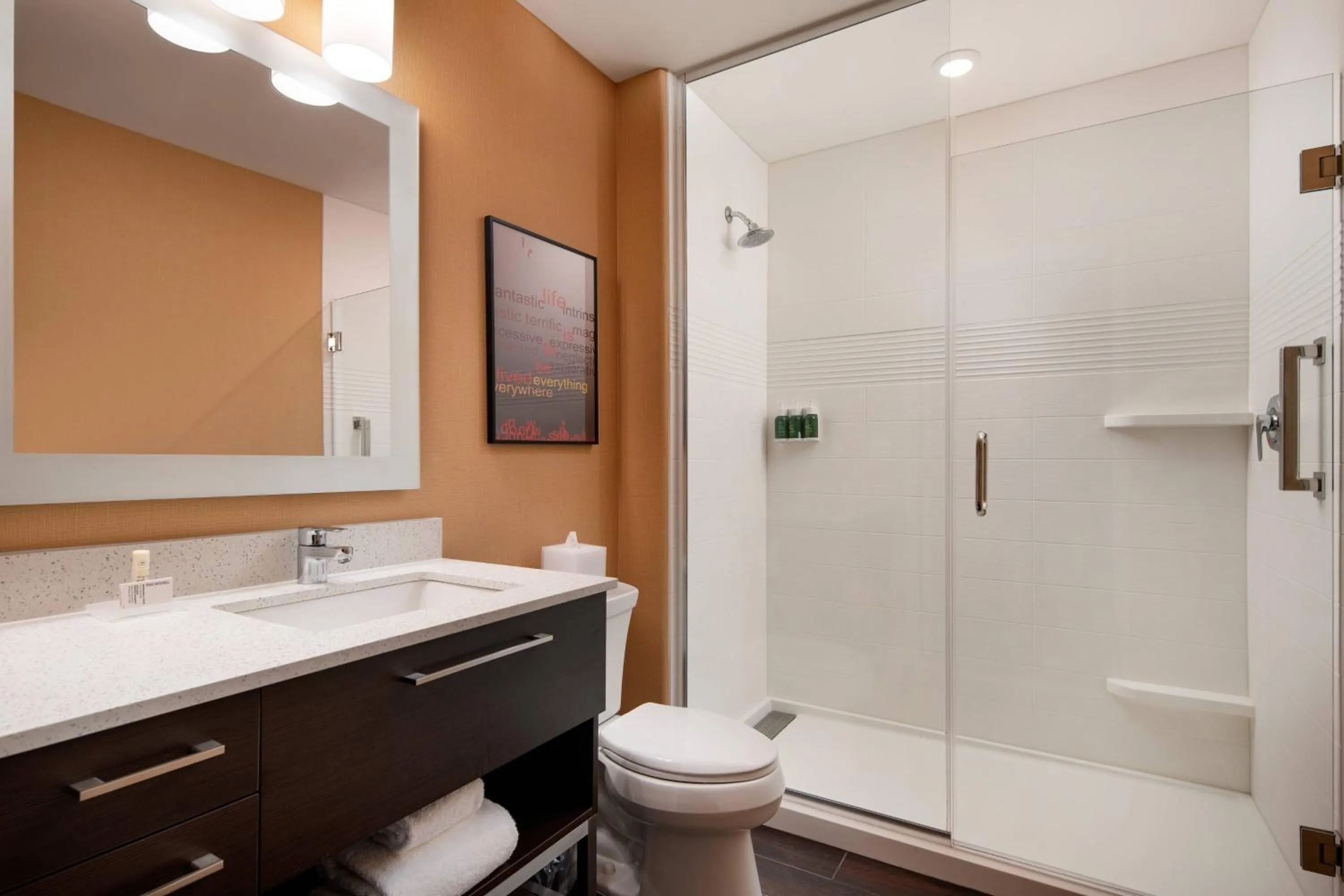 Bathroom in TownePlace Suites Fresno Clovis