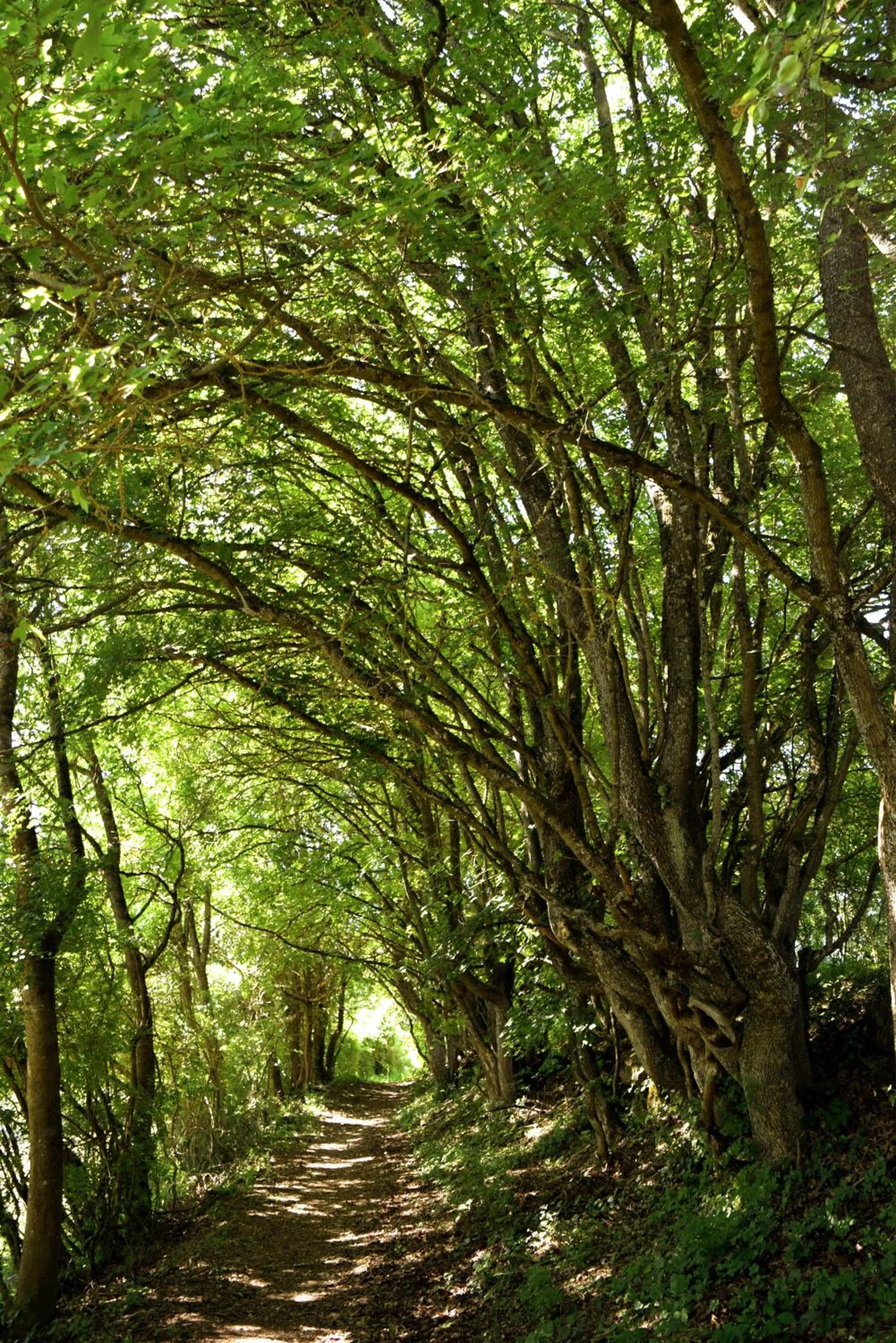 Area and facilities in Hotel Gasthof Zum Löwen