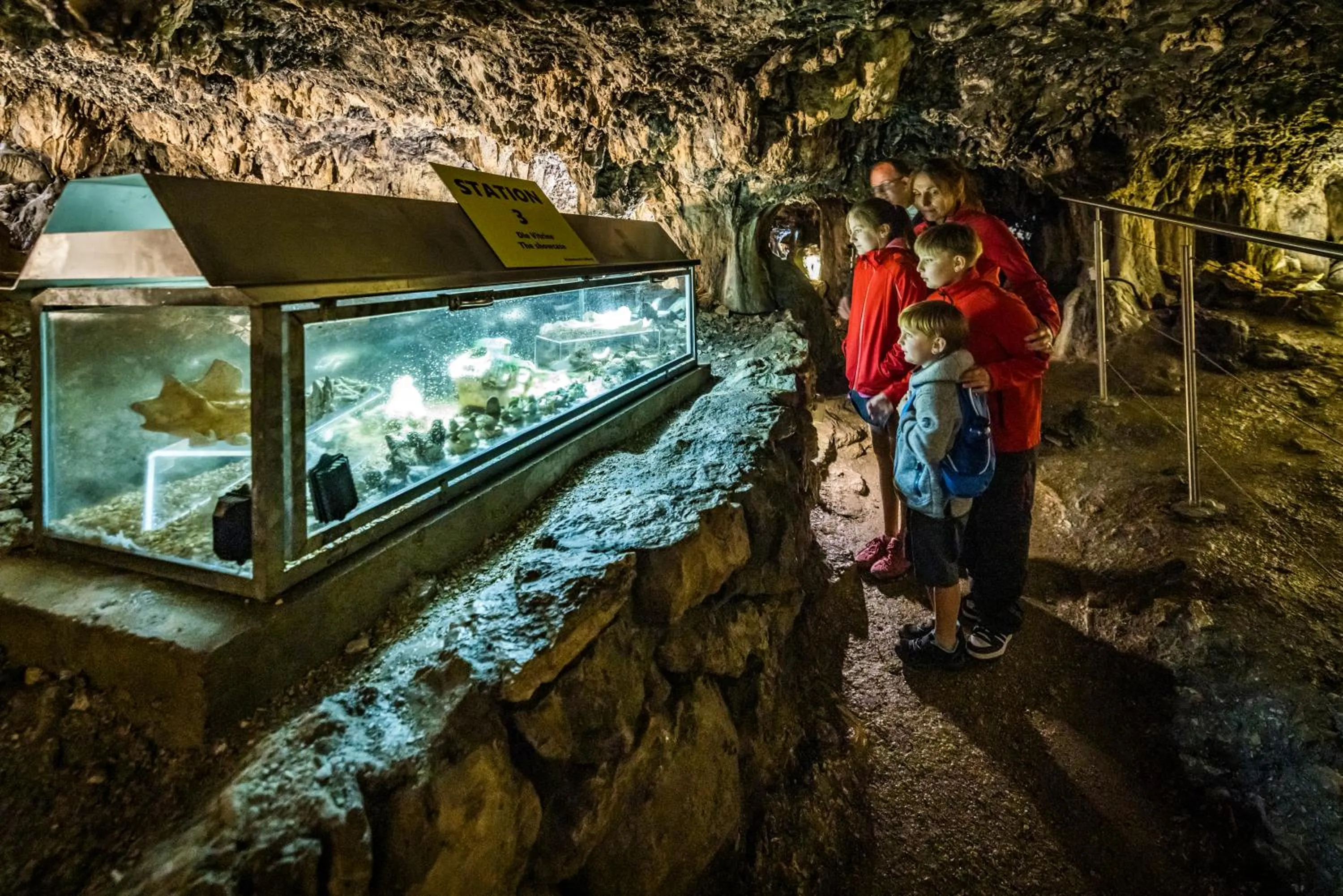 Activities in Hotel Gasthof Zum Löwen