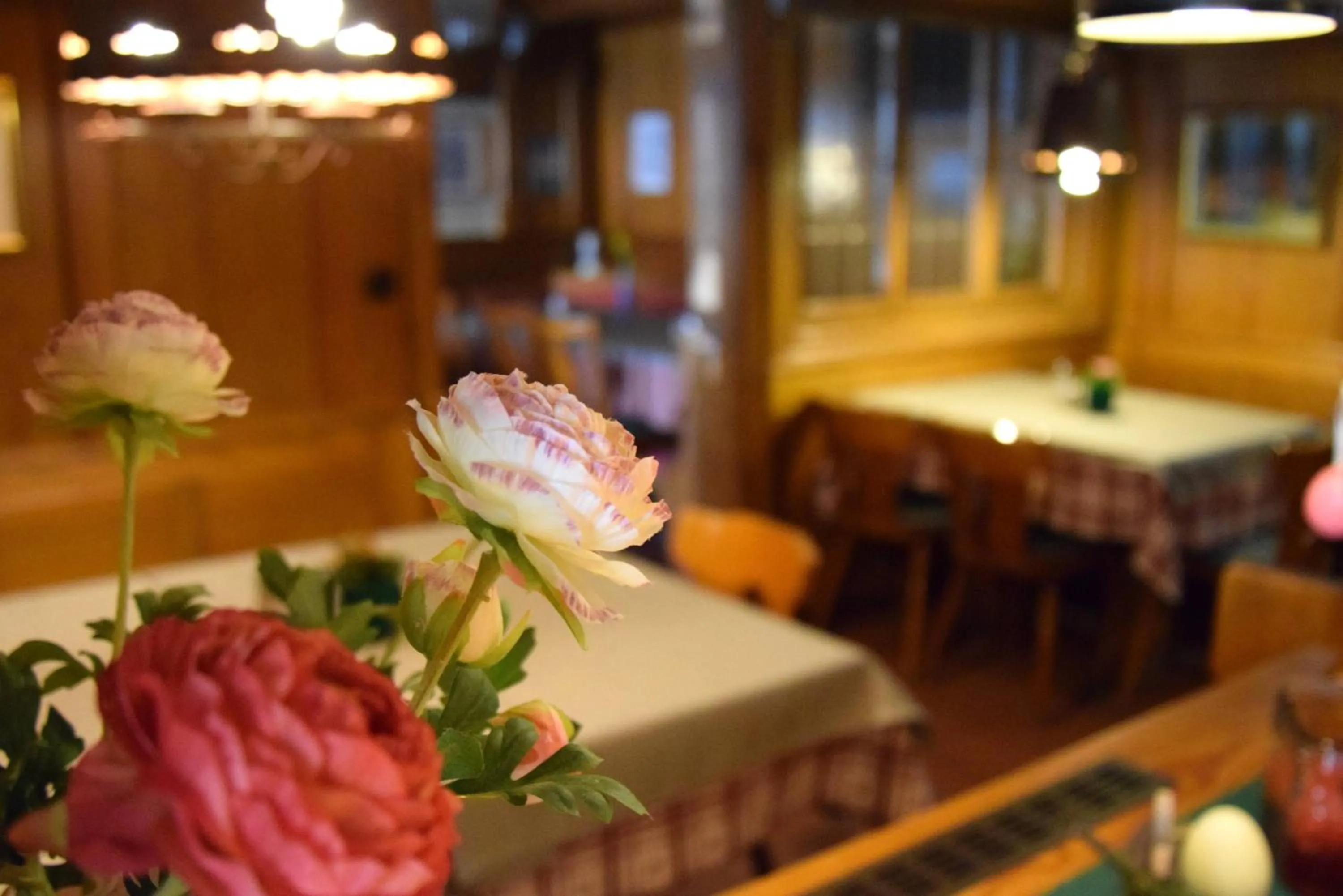 Restaurant/places to eat in Hotel Gasthof Zum Löwen