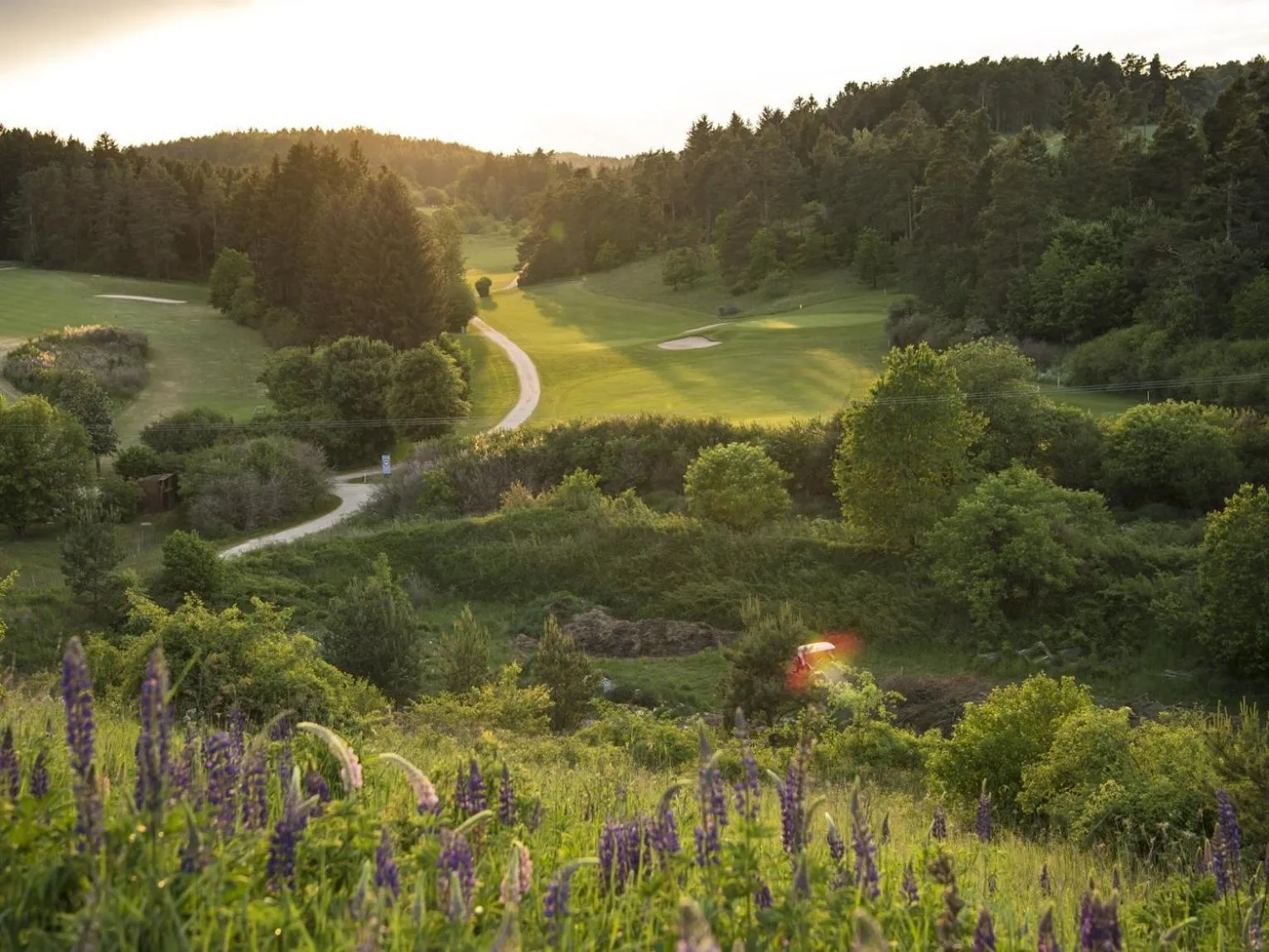 Golfcourse in Hotel Gasthof Zum Löwen