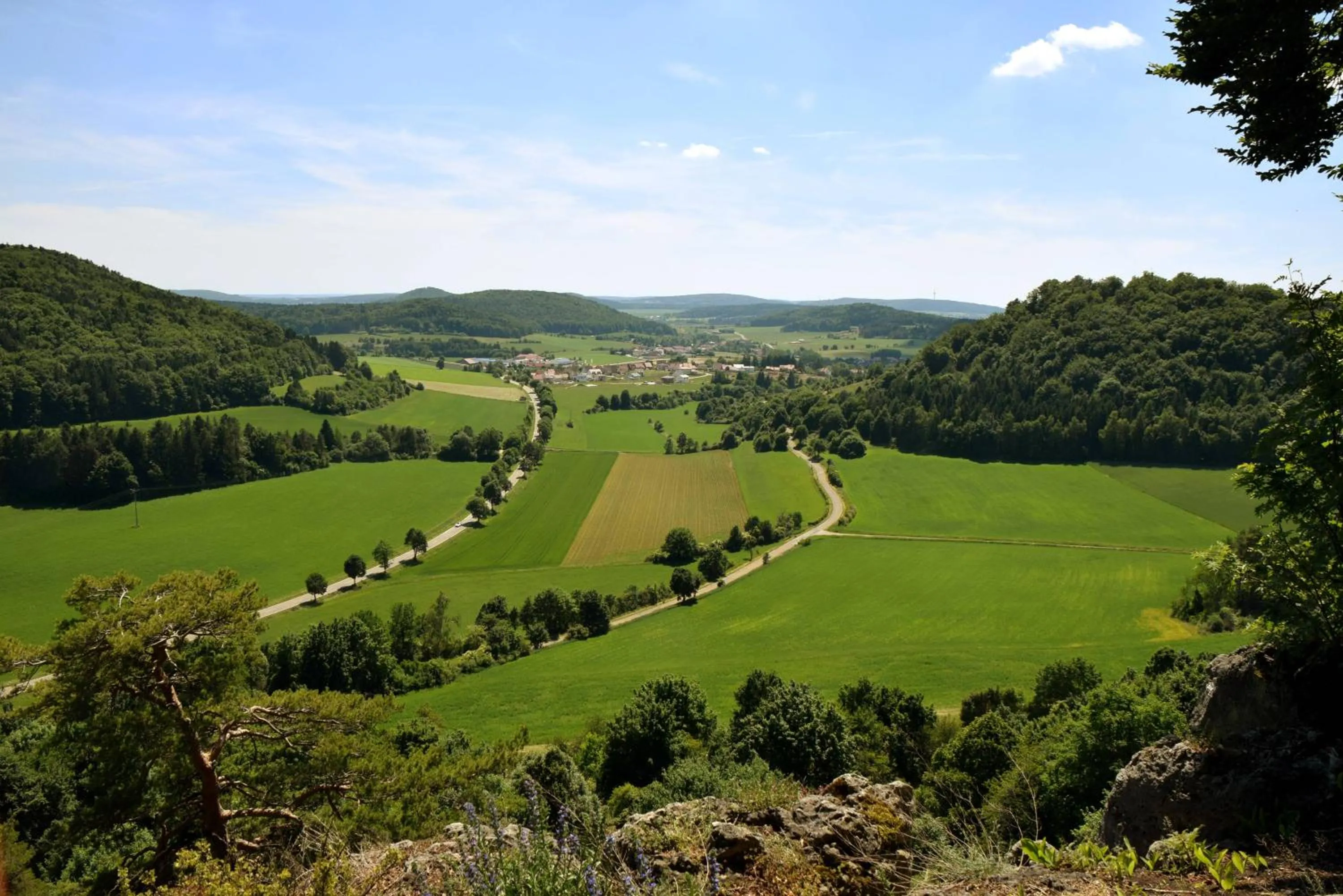 Area and facilities in Hotel Gasthof Zum Löwen