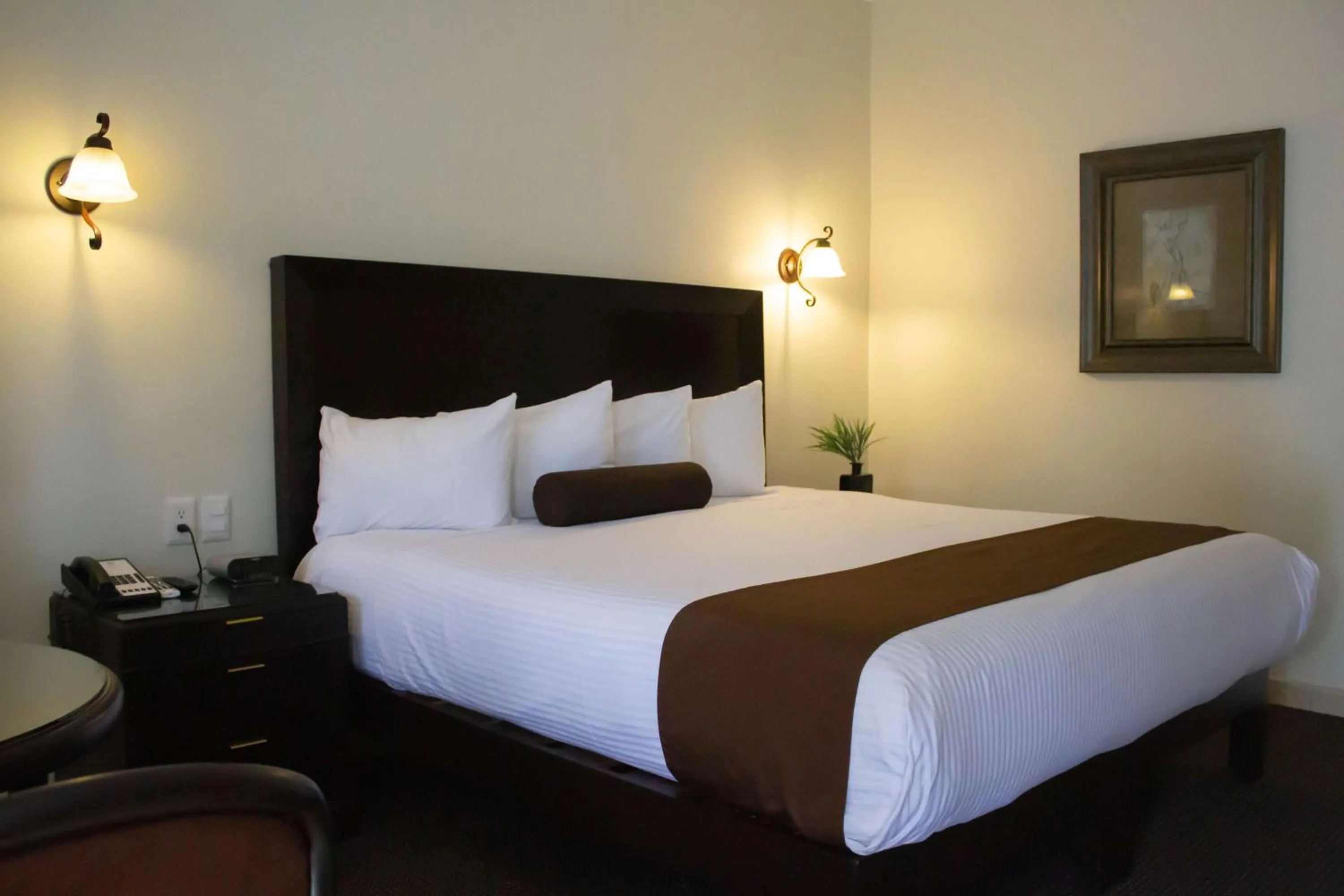 Photo of the whole room, Bed in Hotel Del Rio