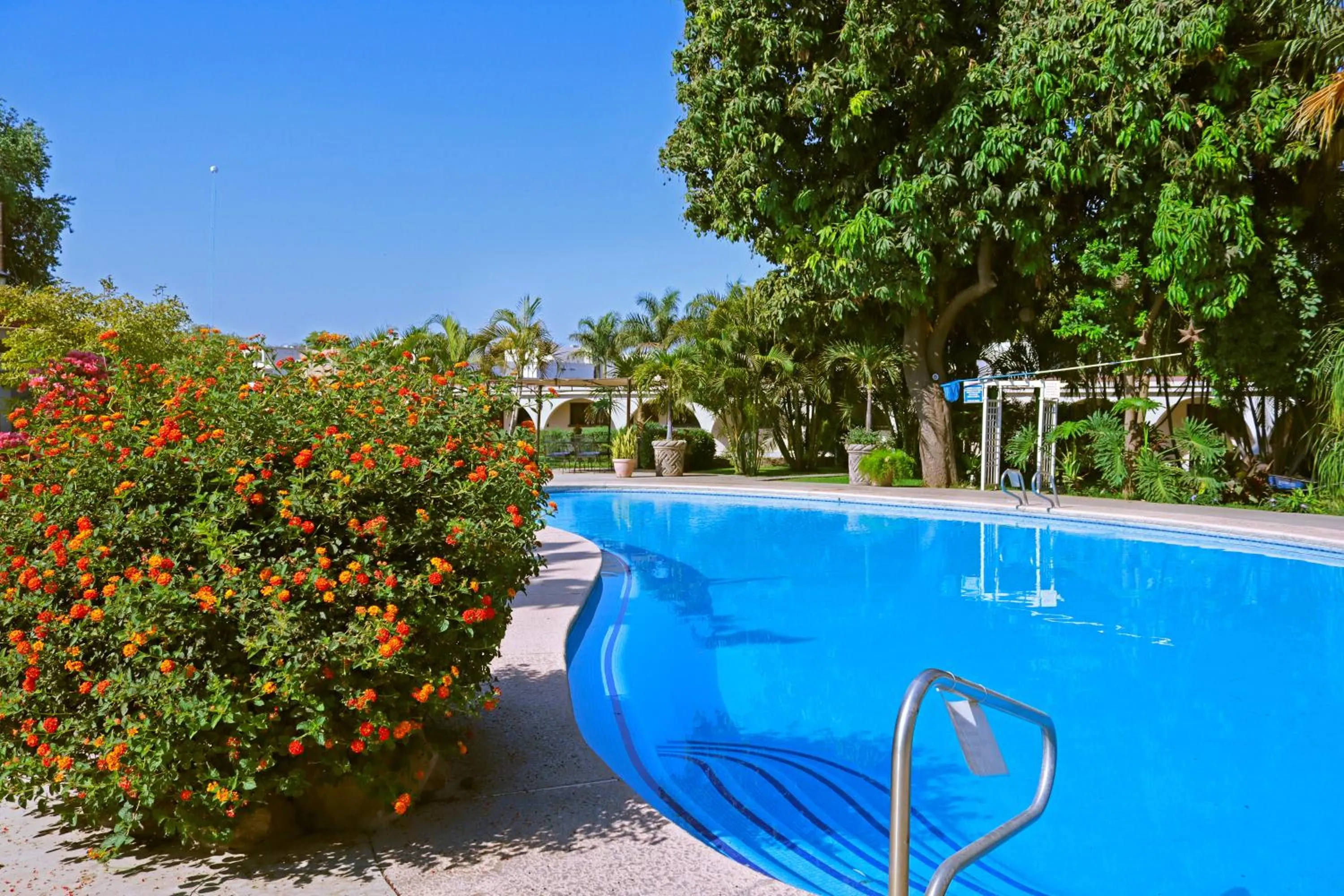 Swimming pool in Hotel Del Rio