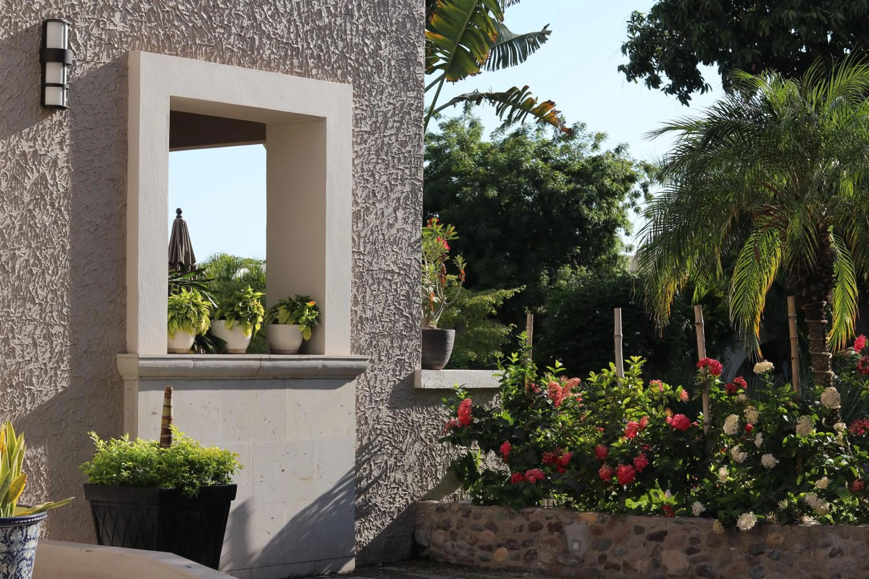 Garden in Hotel Del Rio