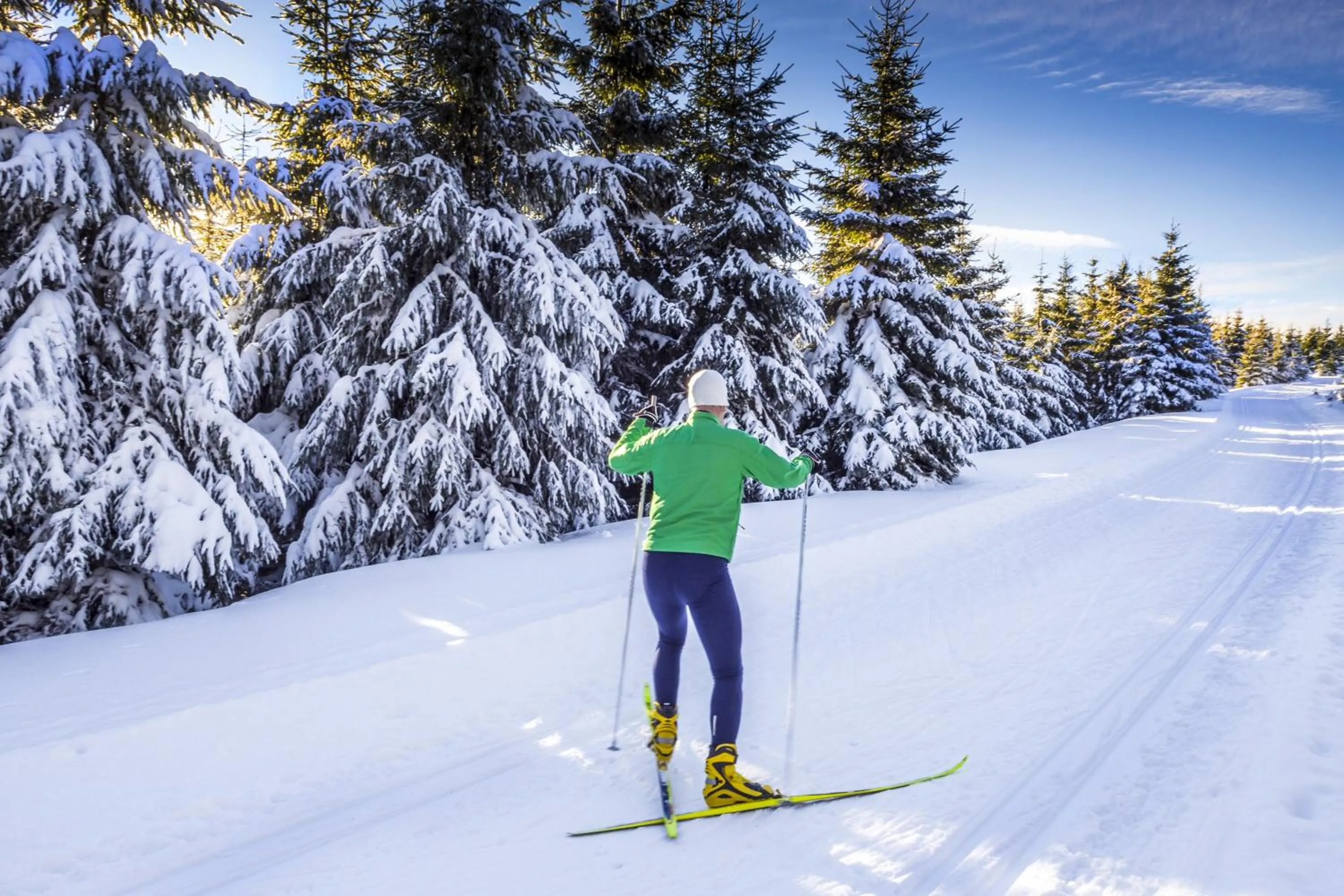 Day in AHORN Panorama Hotel Oberhof