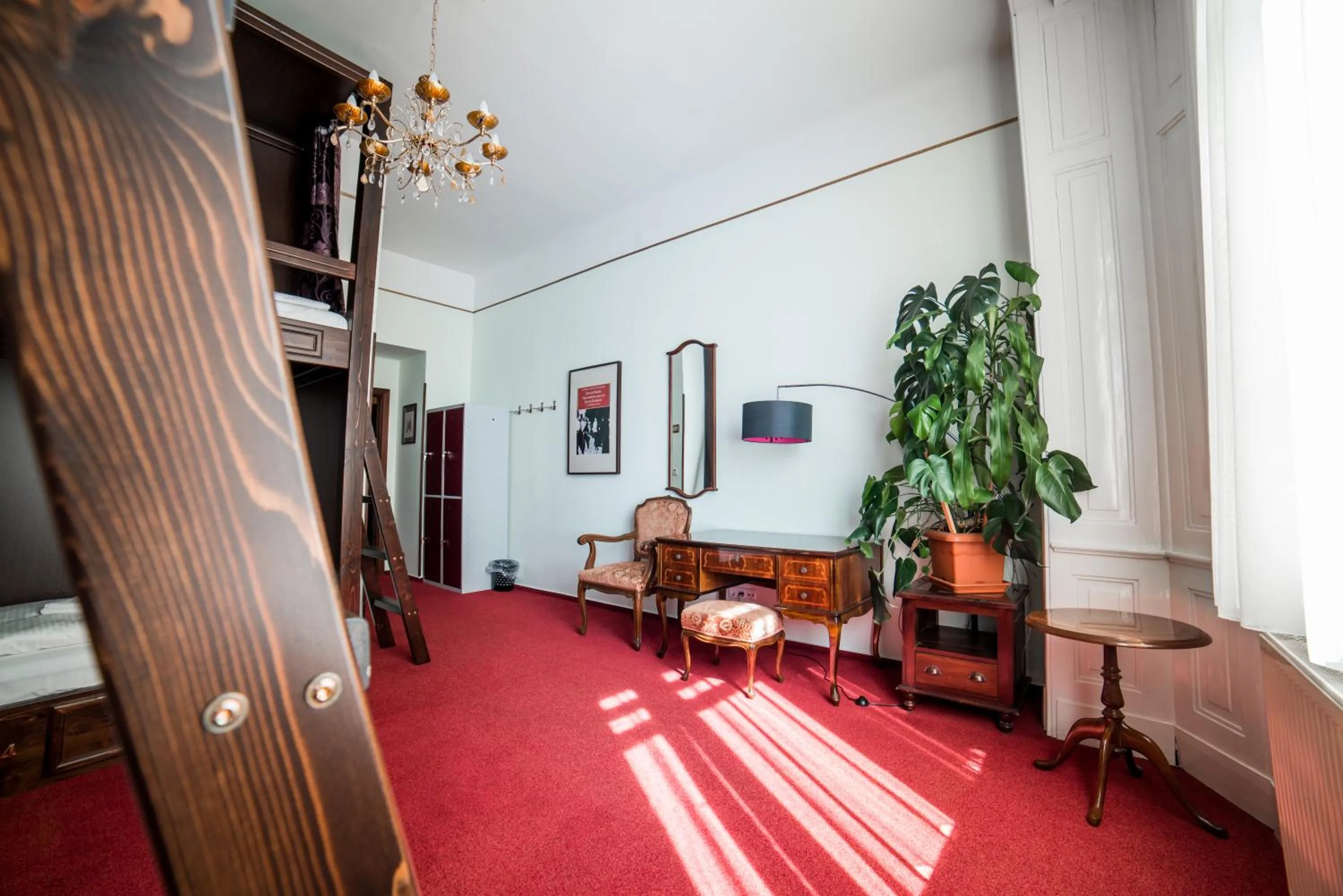 Photo of the whole room in Vienna Boutique - Premium Hostel