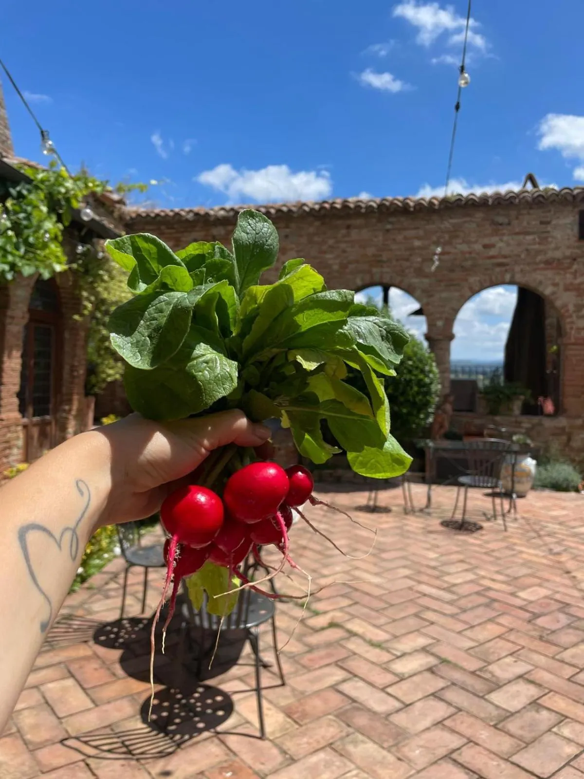 B&B Osteria Del Vicario