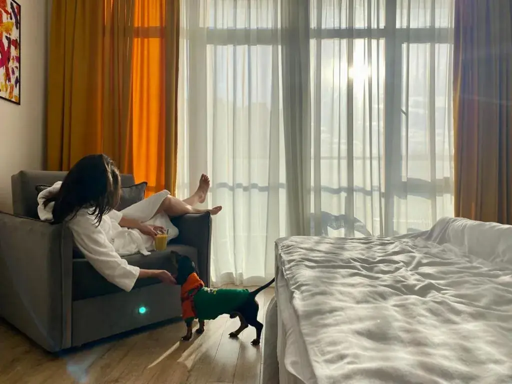 Pets, Bed in White Sails Residential Hotel Pets, Bed in White Sails Residential Hotel