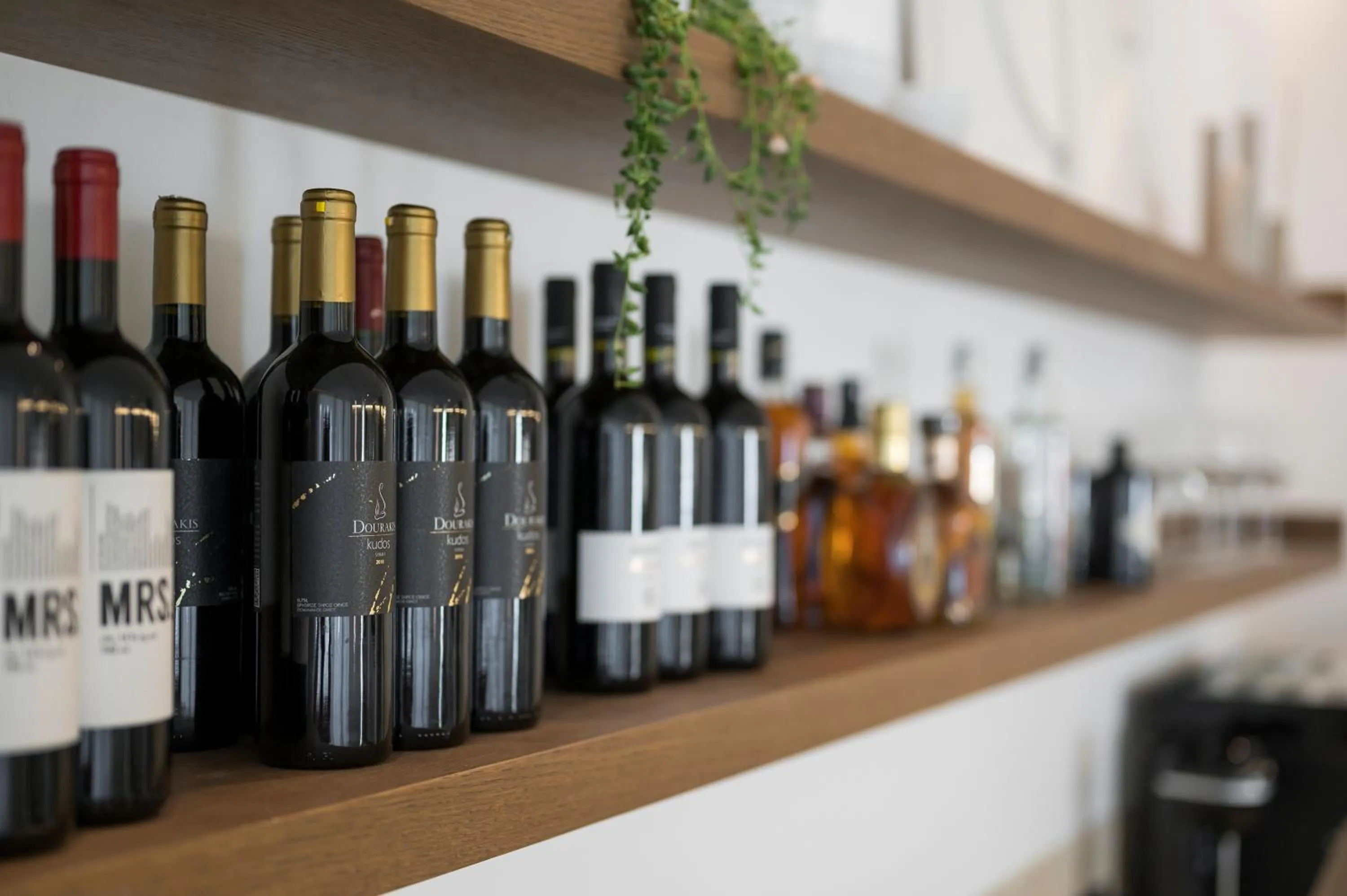 Lounge or bar in SanSal Boutique Hotel